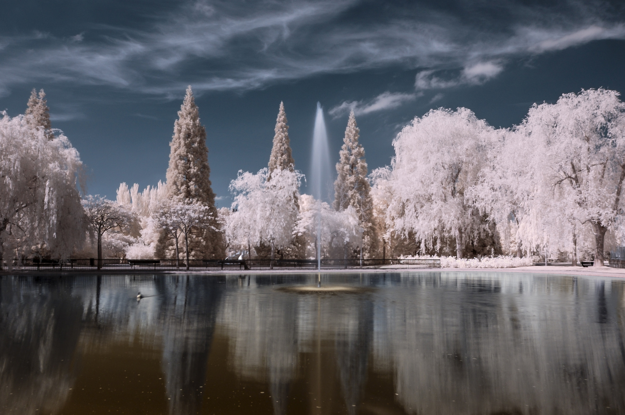 Nikon D50 sample photo. Ir lago san martin photography