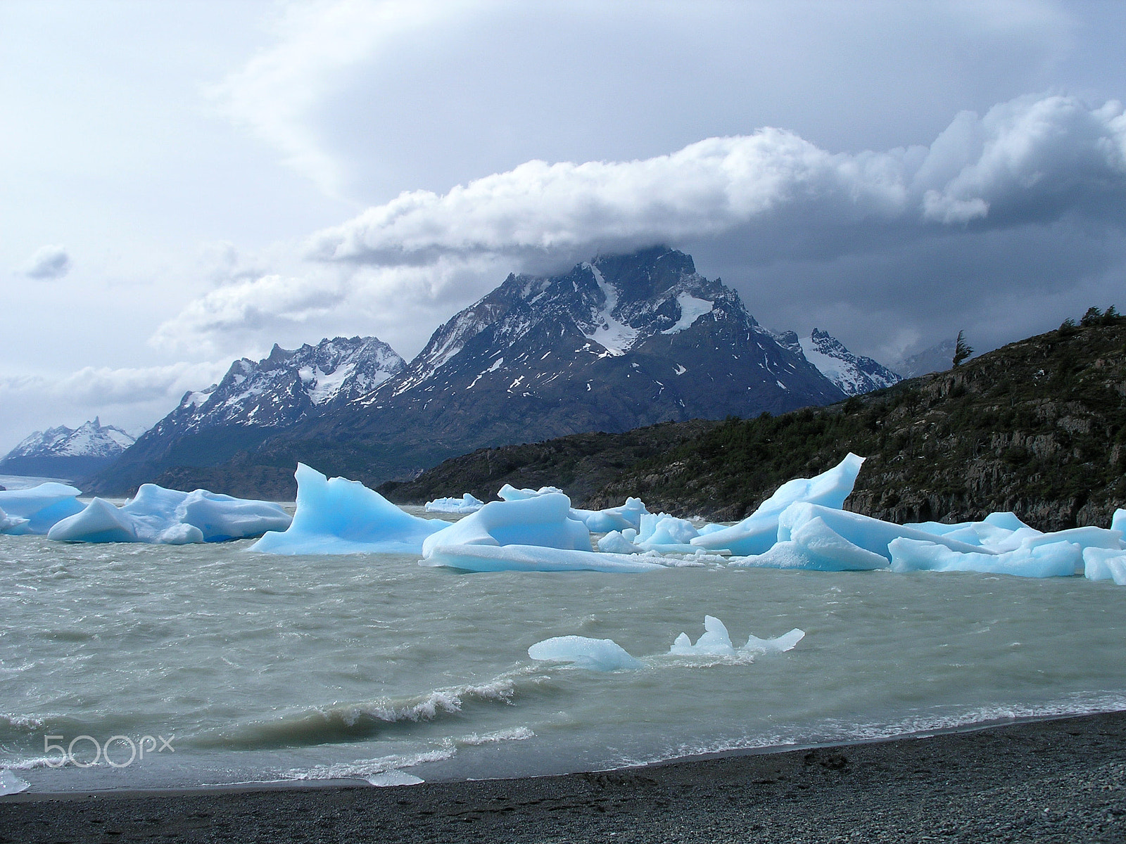 Olympus C55Z,C5500Z sample photo. Icebergs en la playa torres del paine photography