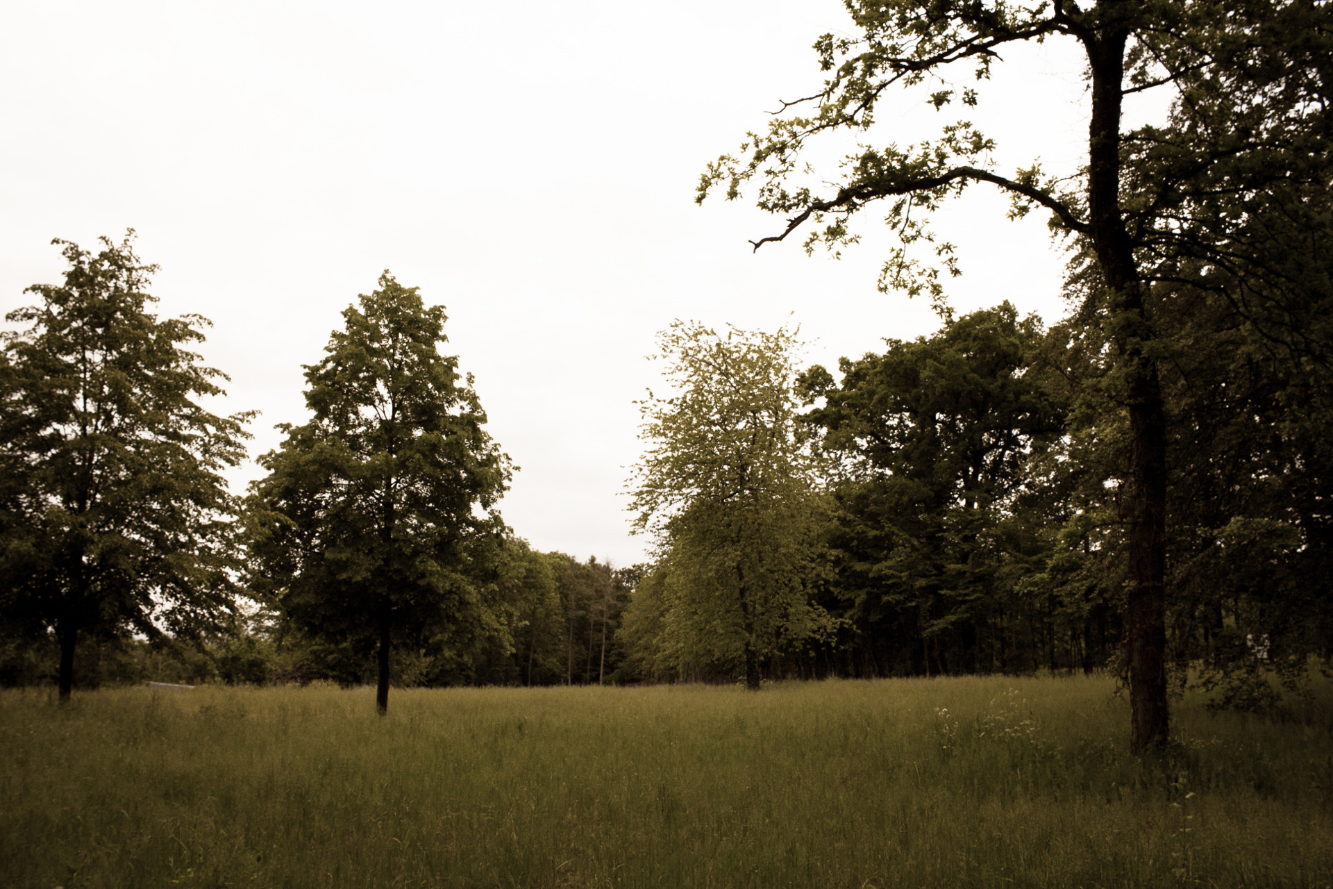 Canon EF-S 24mm F2.8 STM sample photo. S photography