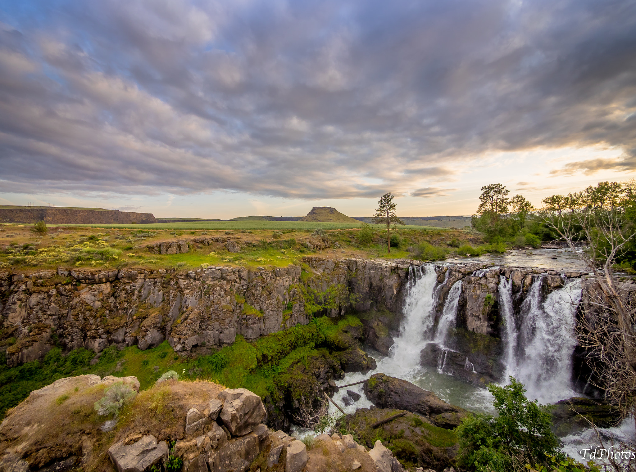 Olympus OM-D E-M1 + Panasonic Lumix G Vario 7-14mm F4 ASPH sample photo. Outside of maupin oregon. photography