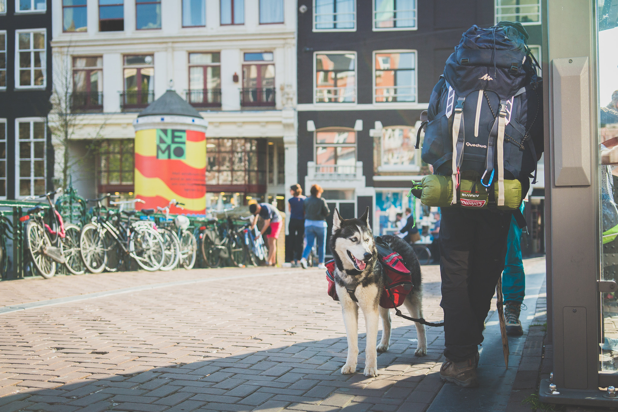 Sigma 18-35mm f/1.8 DC HSM sample photo. Hiker and his doggy photography