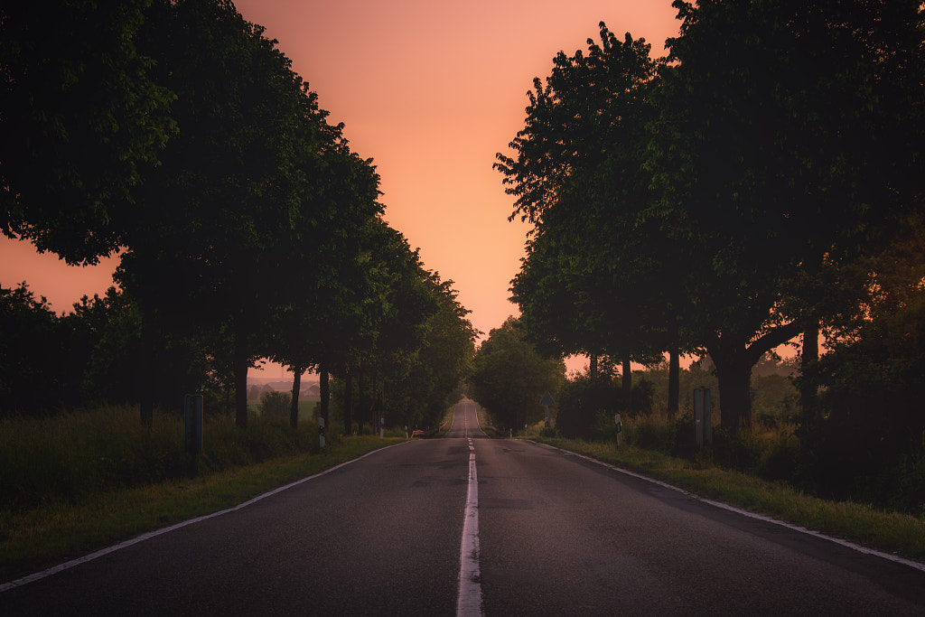 The lonely Road