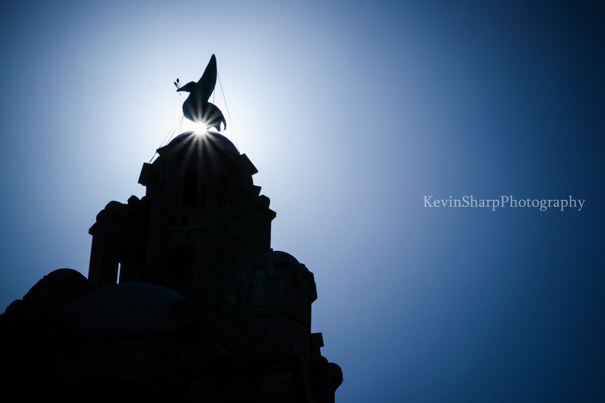 Sigma 17-70mm F2.8-4 DC Macro OS HSM | C sample photo. Sunburst and silhouette photography