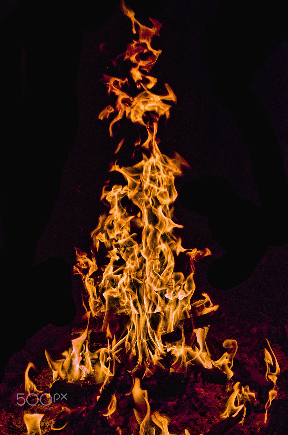 AF Zoom-Nikkor 28-80mm f/3.3-5.6G sample photo. Flame of fire photography