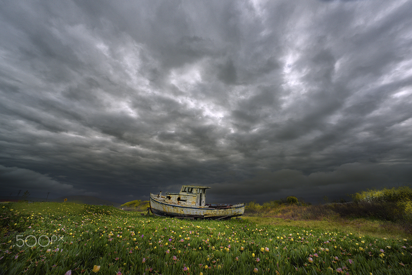 Nikon D810 + Nikon AF Nikkor 14mm F2.8D ED sample photo. Landed boat photography