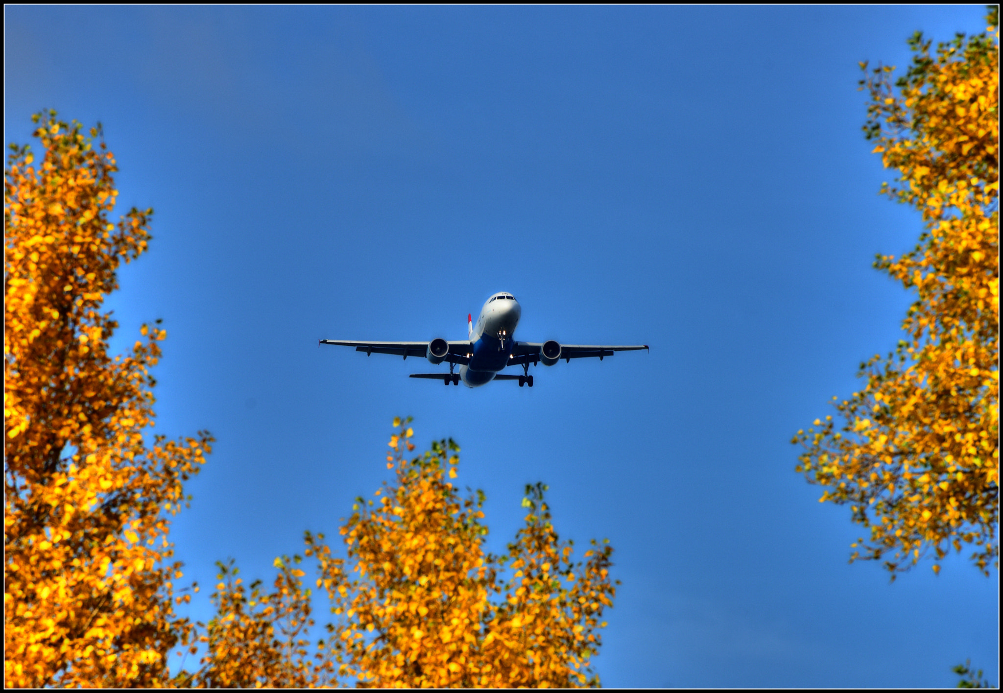 Sigma 50-500mm F4.5-6.3 DG OS HSM sample photo. Flug in den herbst photography