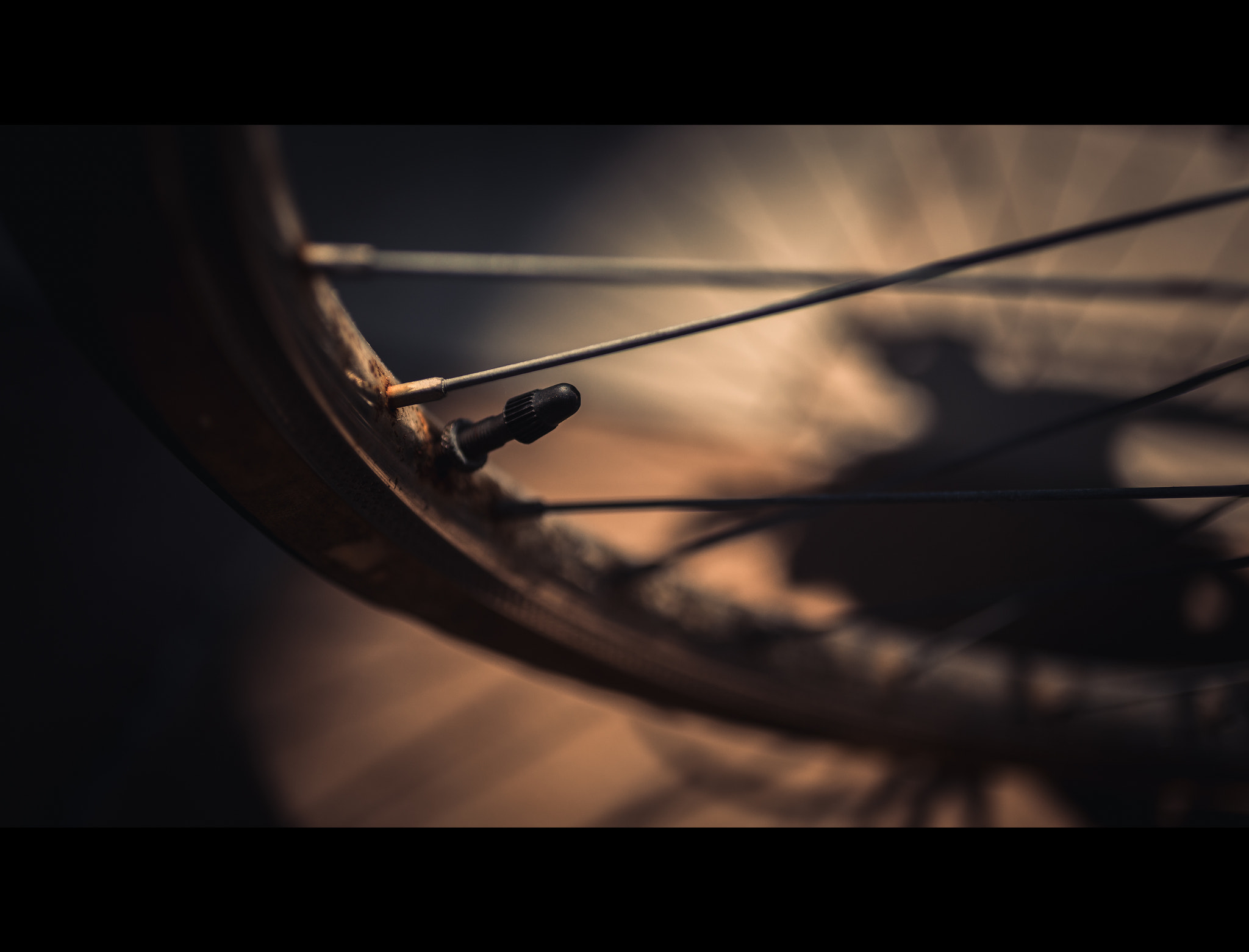 Canon EOS 6D + Canon EF 50mm F2.5 Macro sample photo. 50 shades of rust photography