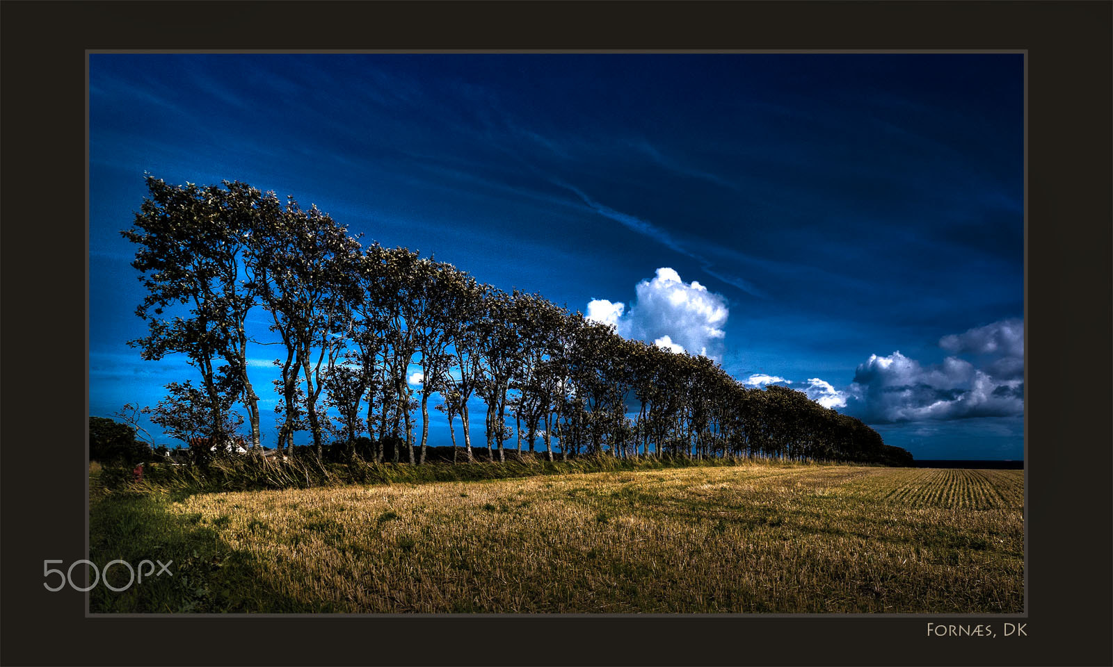 Panasonic Lumix DMC-GH2 + Panasonic Lumix G Vario 7-14mm F4 ASPH sample photo. Wind breaking trees at the coast photography