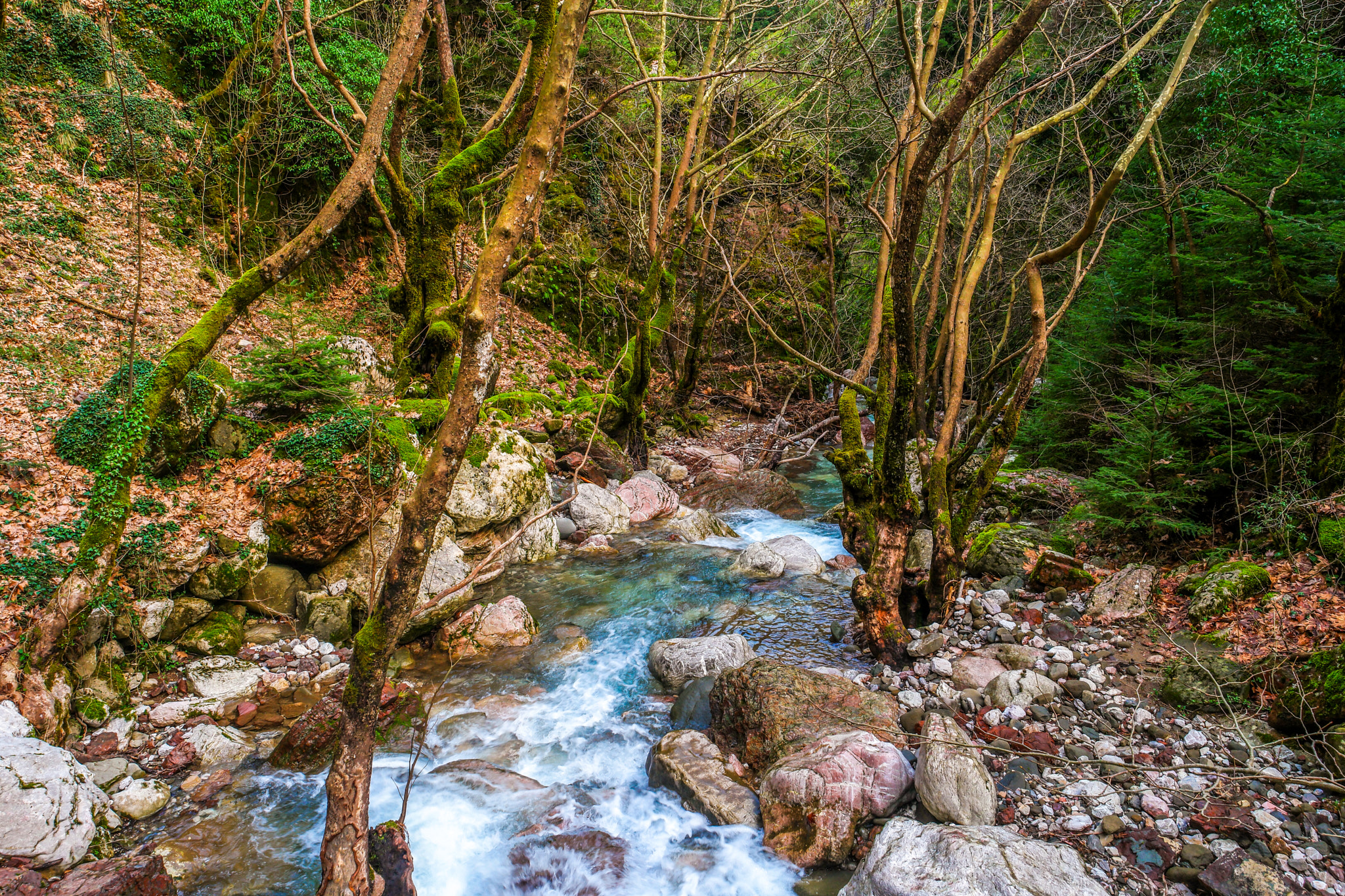 Samsung NX1 + Samsung NX 16-50mm F3.5-5.6 Power Zoom ED OIS sample photo. Relaxing stream photography