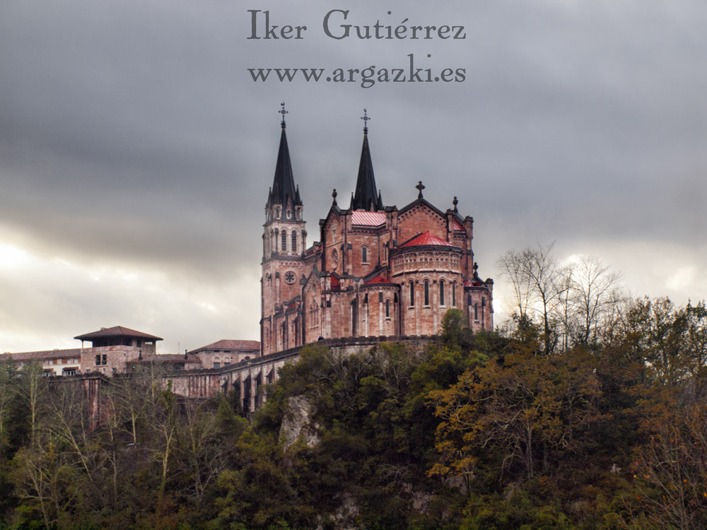 Olympus E-620 (EVOLT E-620) + OLYMPUS 14-42mm Lens sample photo. Covadonga photography