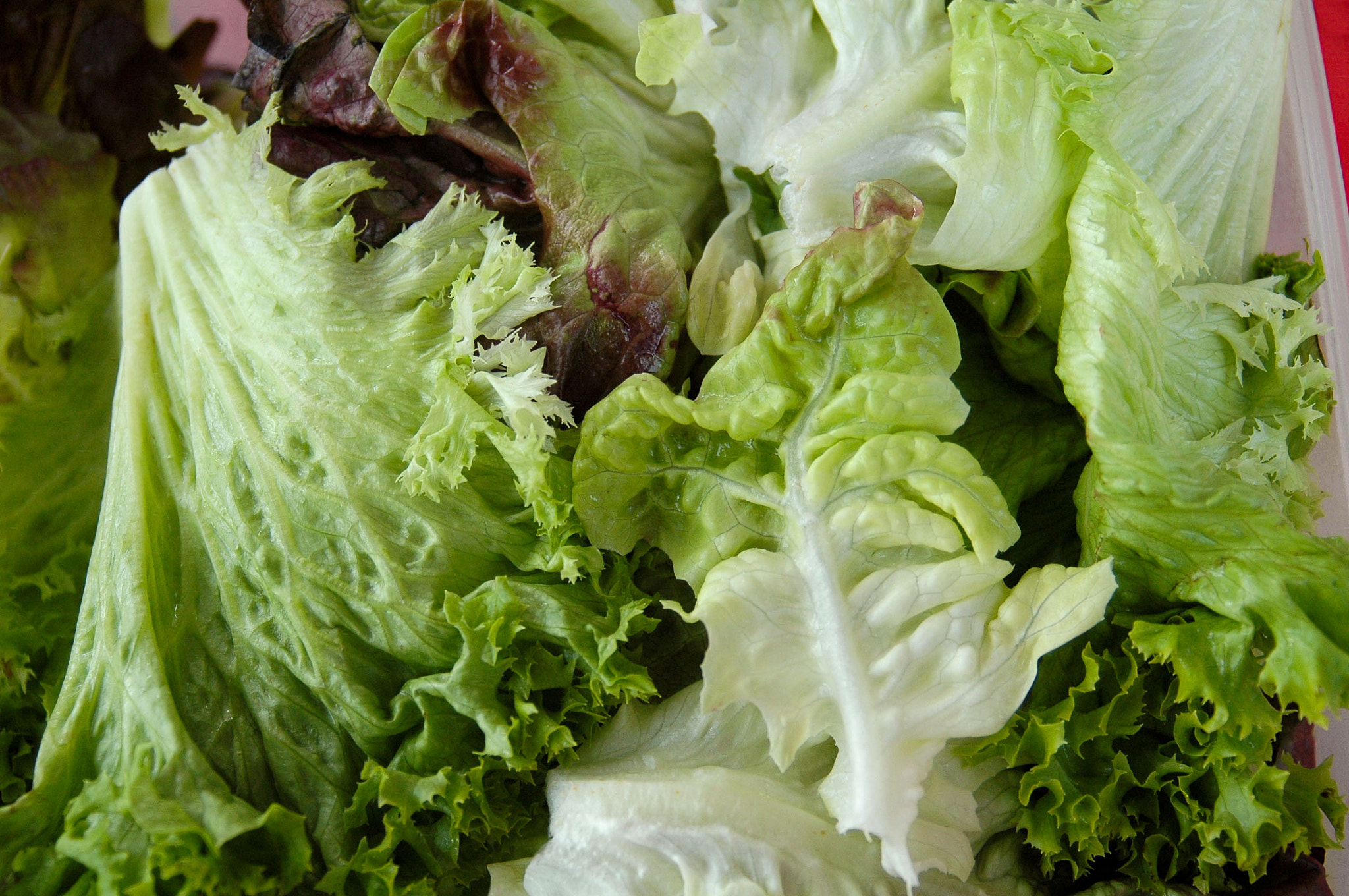 AF Zoom-Nikkor 28-80mm f/3.3-5.6G sample photo. Salad photography