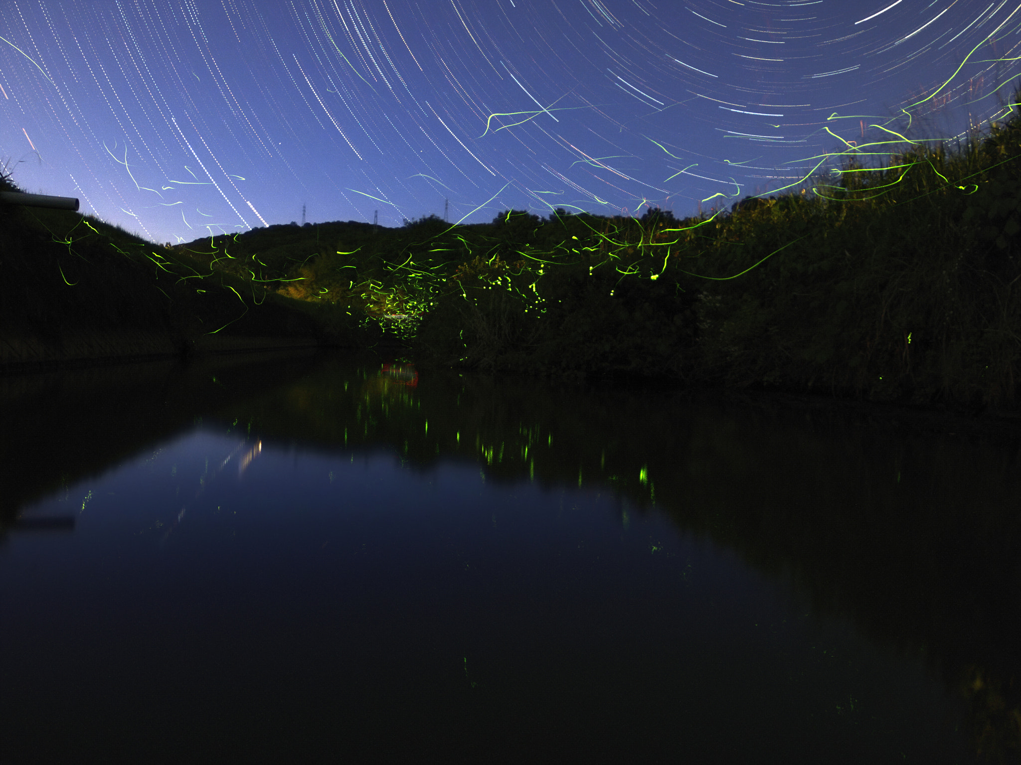 Pentax Q7 sample photo. Starry night - 星降る夜 photography