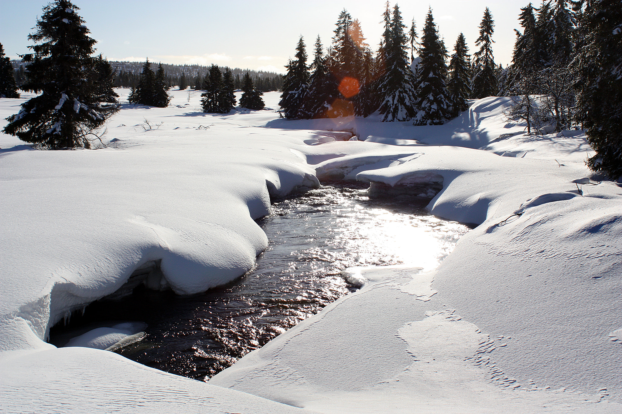 Canon EF 28-80mm f/3.5-5.6 USM IV sample photo. Wintertime photography