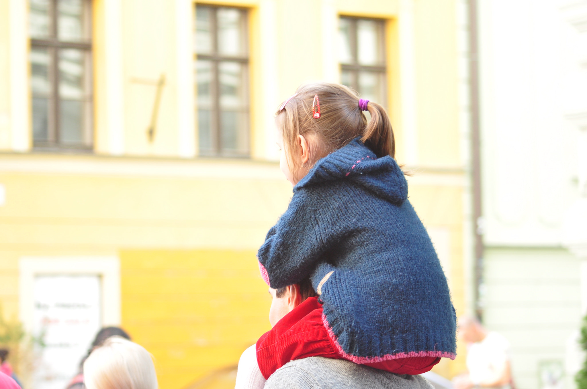 Sigma 70-300mm F4-5.6 APO Macro Super II sample photo. Bratislava slovakia photography