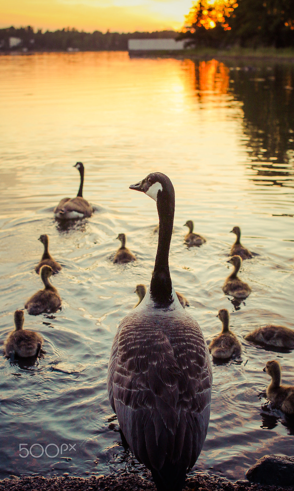 Canon EOS 70D + Canon EF 28mm F1.8 USM sample photo. In formation photography
