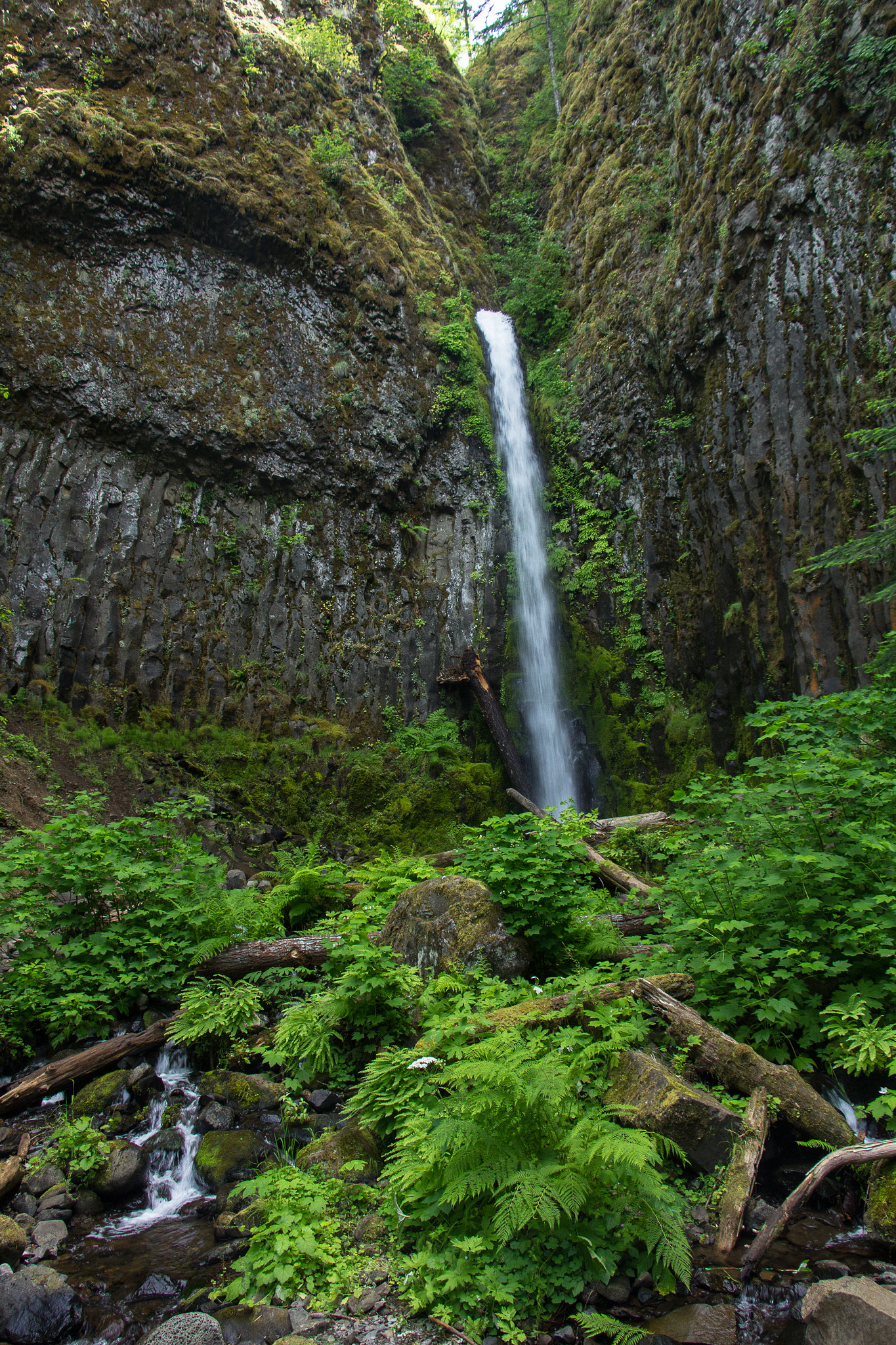 Canon EOS 550D (EOS Rebel T2i / EOS Kiss X4) sample photo. Dry creek falls photography