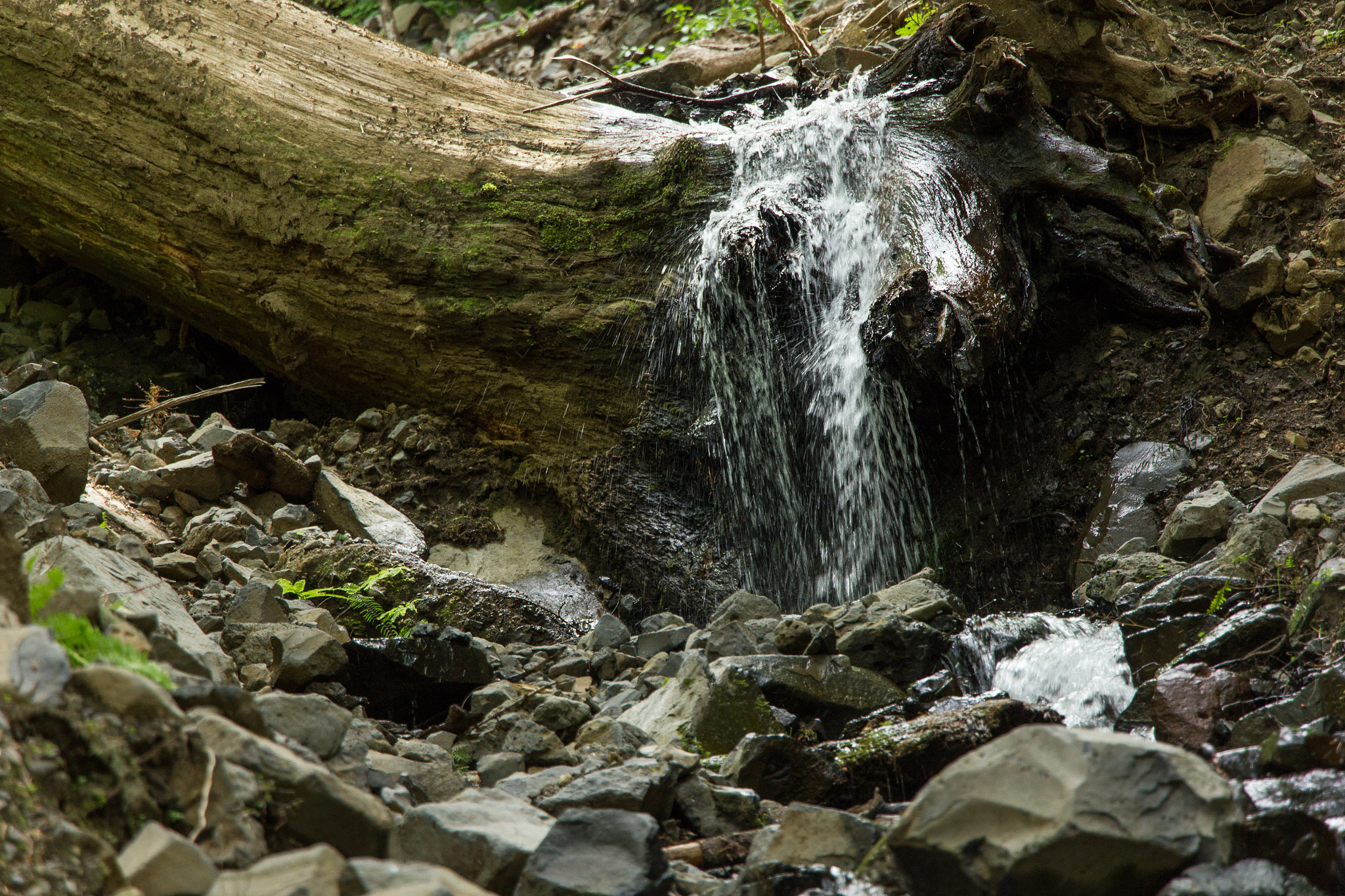 Canon EOS 550D (EOS Rebel T2i / EOS Kiss X4) sample photo. Herman creek waterfall photography
