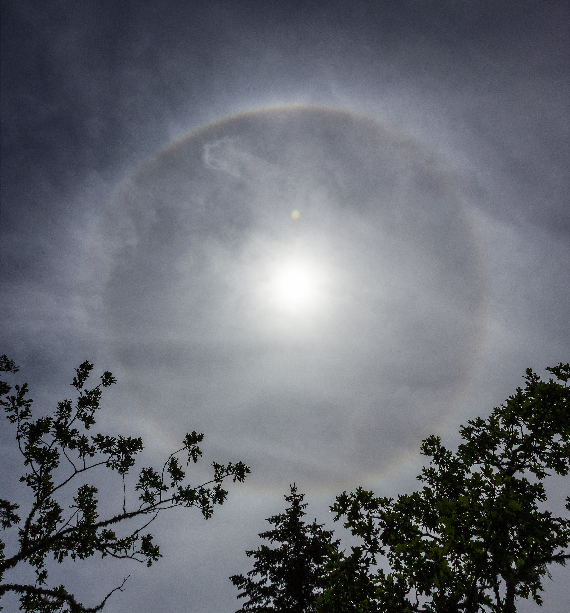 Canon EOS 550D (EOS Rebel T2i / EOS Kiss X4) sample photo. Solar halo photography