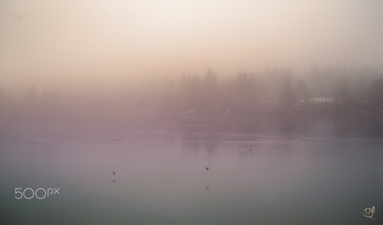 Kodak EasyShare M1033 sample photo. Meilahti sunrise song photography