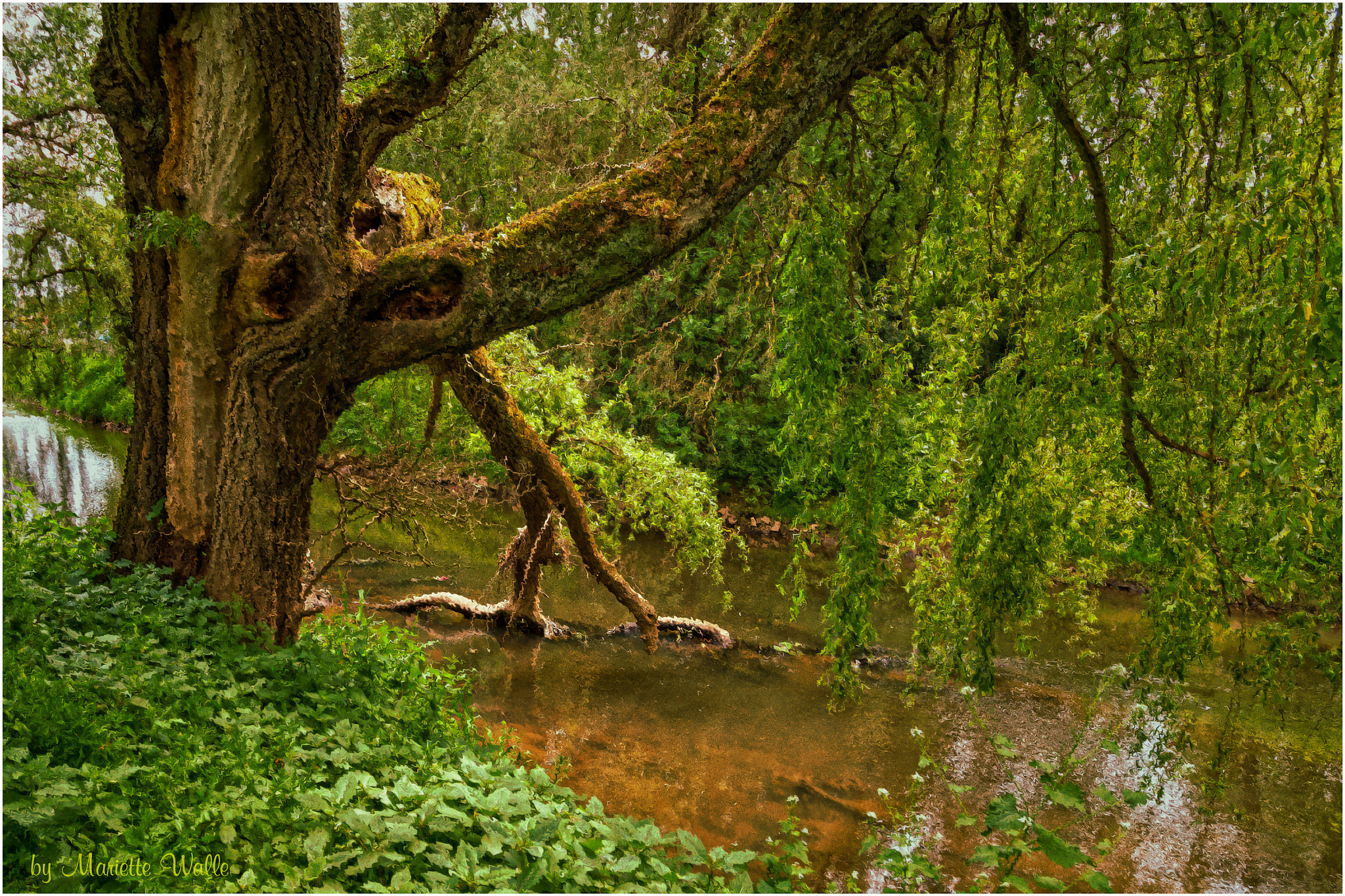 Sigma 12-24mm F4.5-5.6 II DG HSM sample photo. Relaxing at the floodplain photography