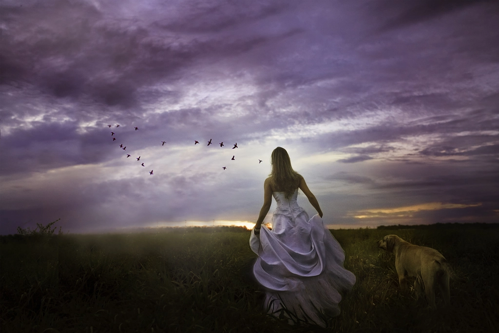 любовное фэнтези академия. ветер свободы воли. лучник арт. одинокий лучник. страсть к жизни.