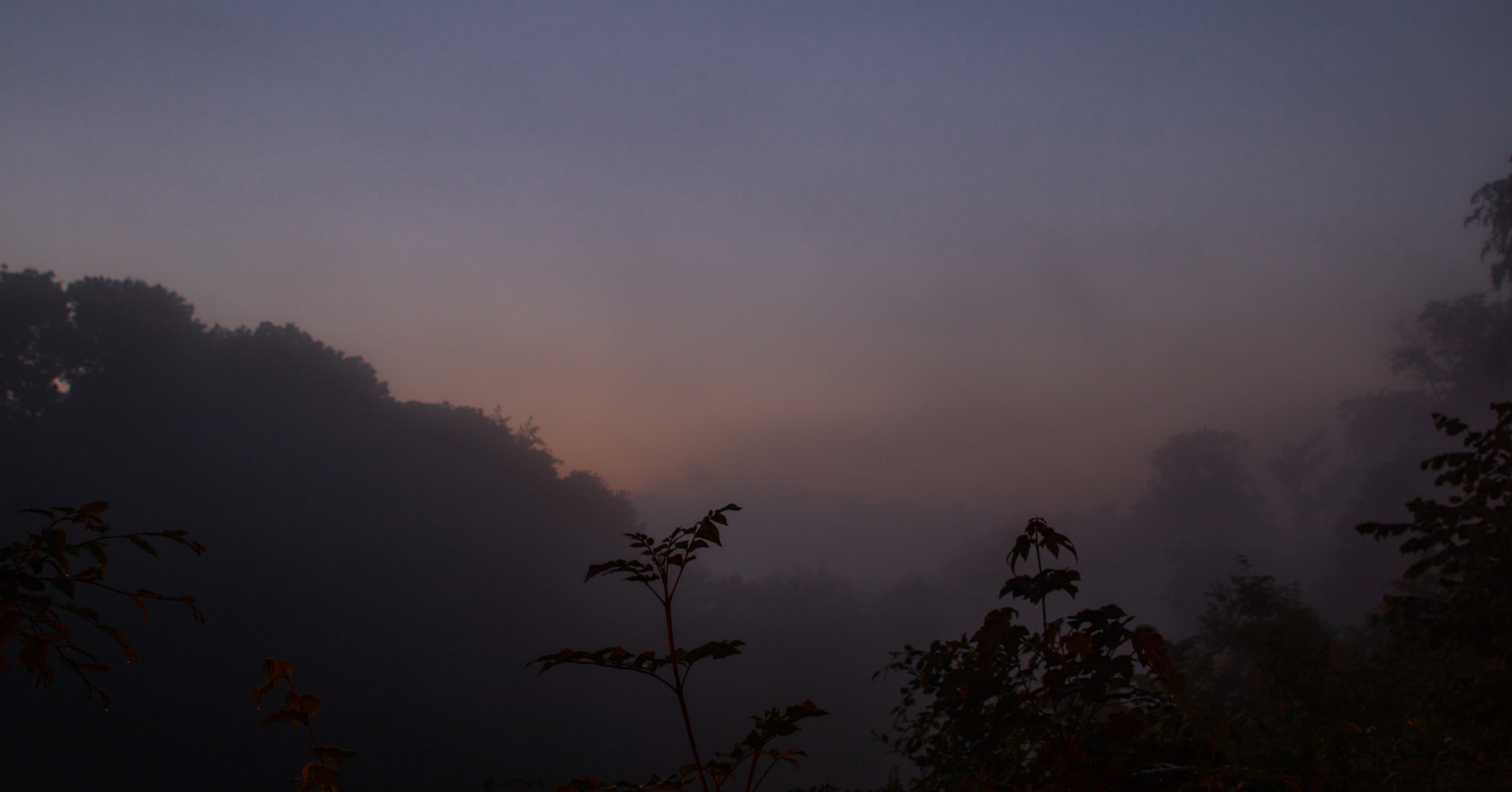 Canon EOS 750D (EOS Rebel T6i / EOS Kiss X8i) + Sigma 24-70mm F2.8 EX DG Macro sample photo. Misty stuff photography