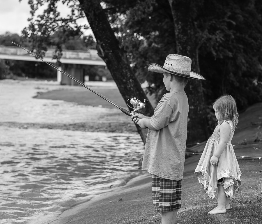 ZEISS Milvus 50mm F1.4 sample photo
