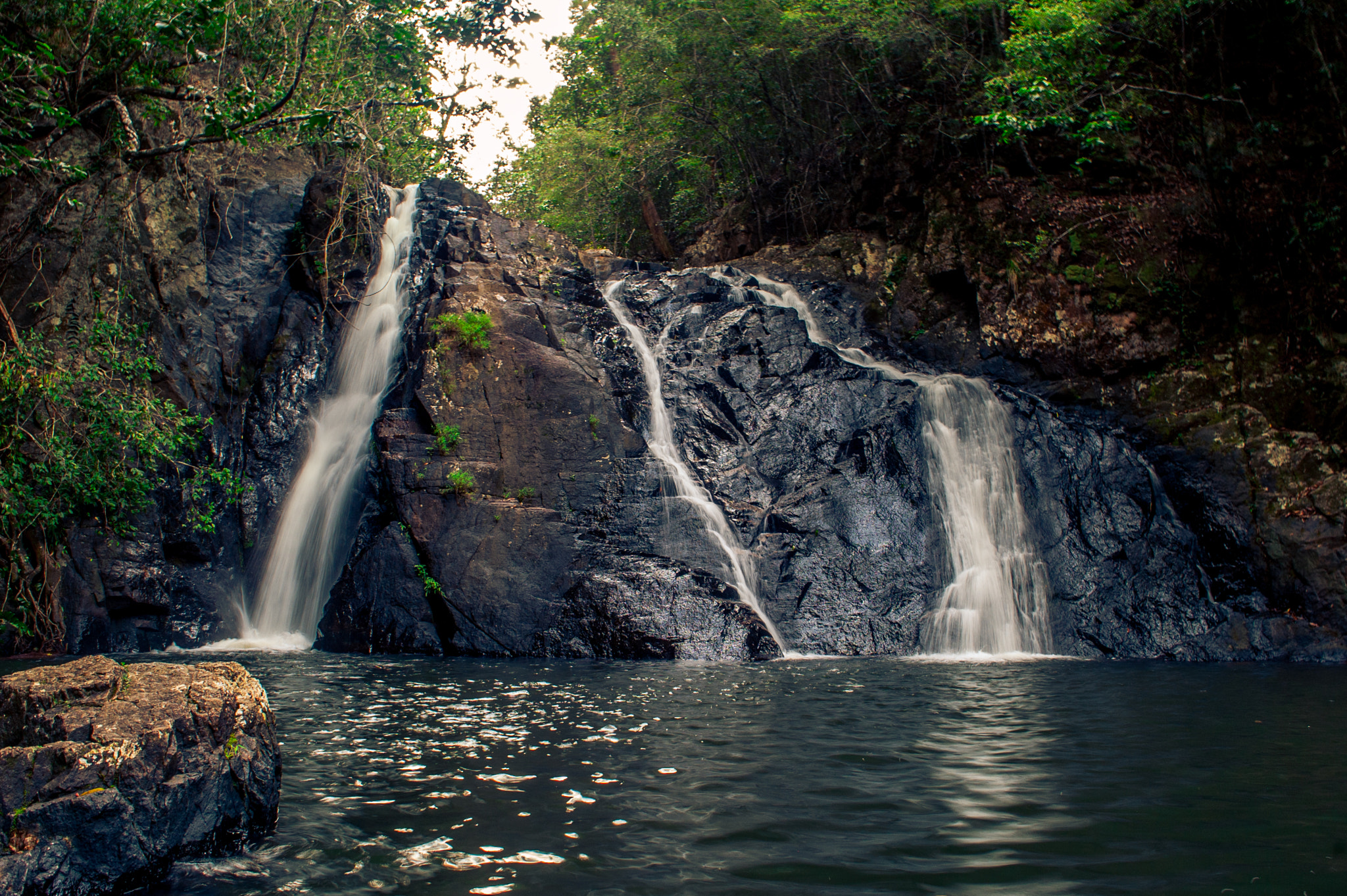Nikon D50 sample photo. Atherton tablelands photography