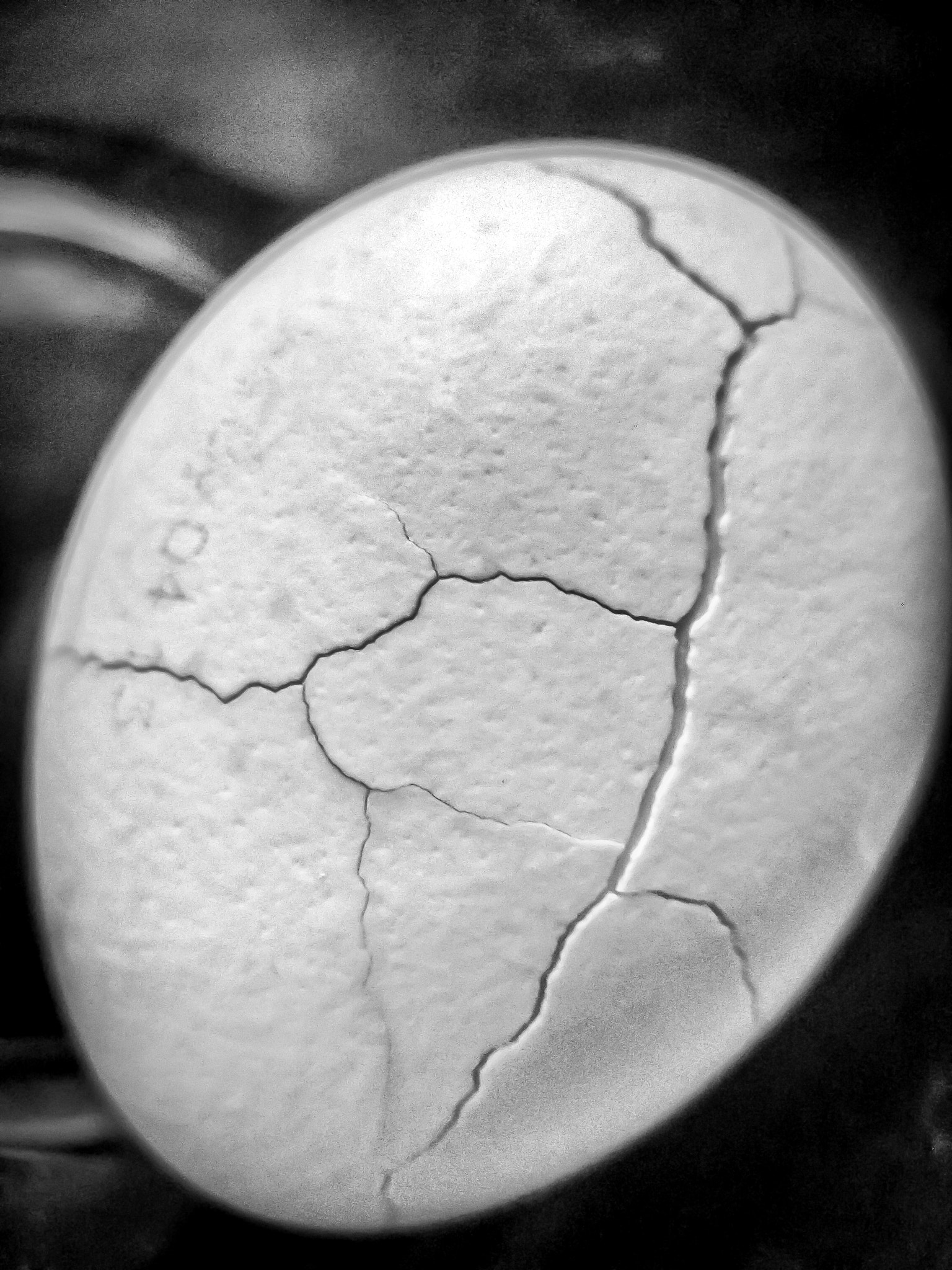 Olympus C70Z,C7000Z sample photo. Fractured egg photography