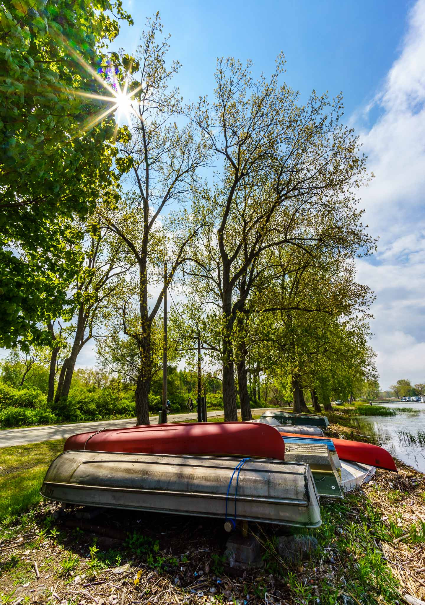 Sony a7 II + Voigtlander SUPER WIDE-HELIAR 15mm F4.5 III sample photo. Horse shoe pond photography