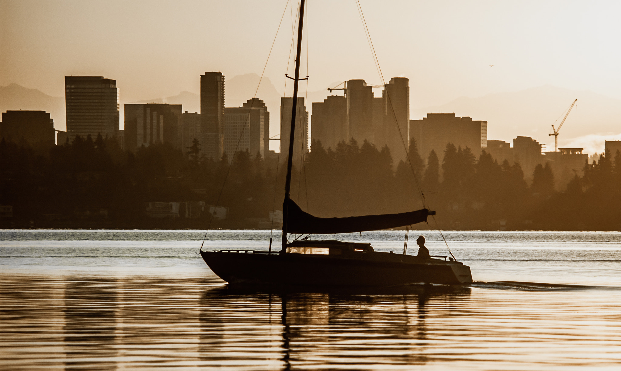 Nikon D70s sample photo. Sails down photography