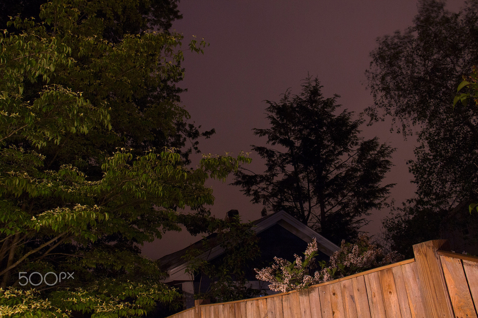 Canon EOS M sample photo. Lilac sky photography