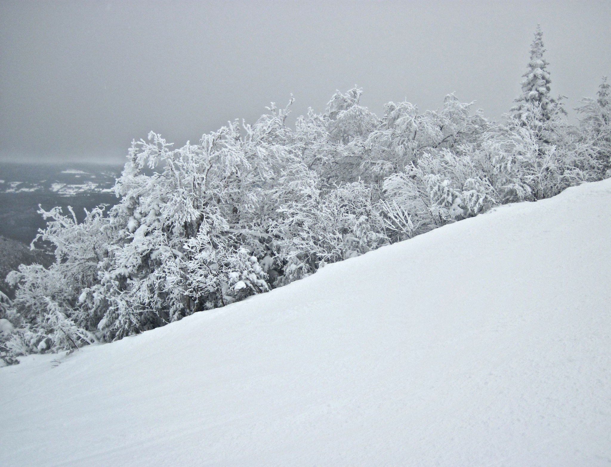 Canon PowerShot D10 sample photo. Sugarbush heaven's gate hill tress photography