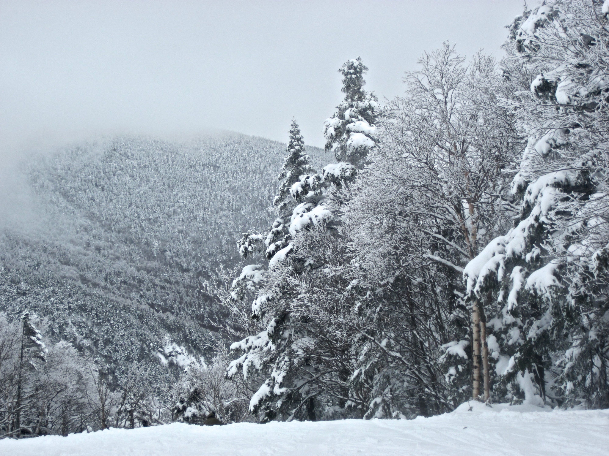 Canon PowerShot D10 sample photo. Sugarbush heavens gate fog mountain photography