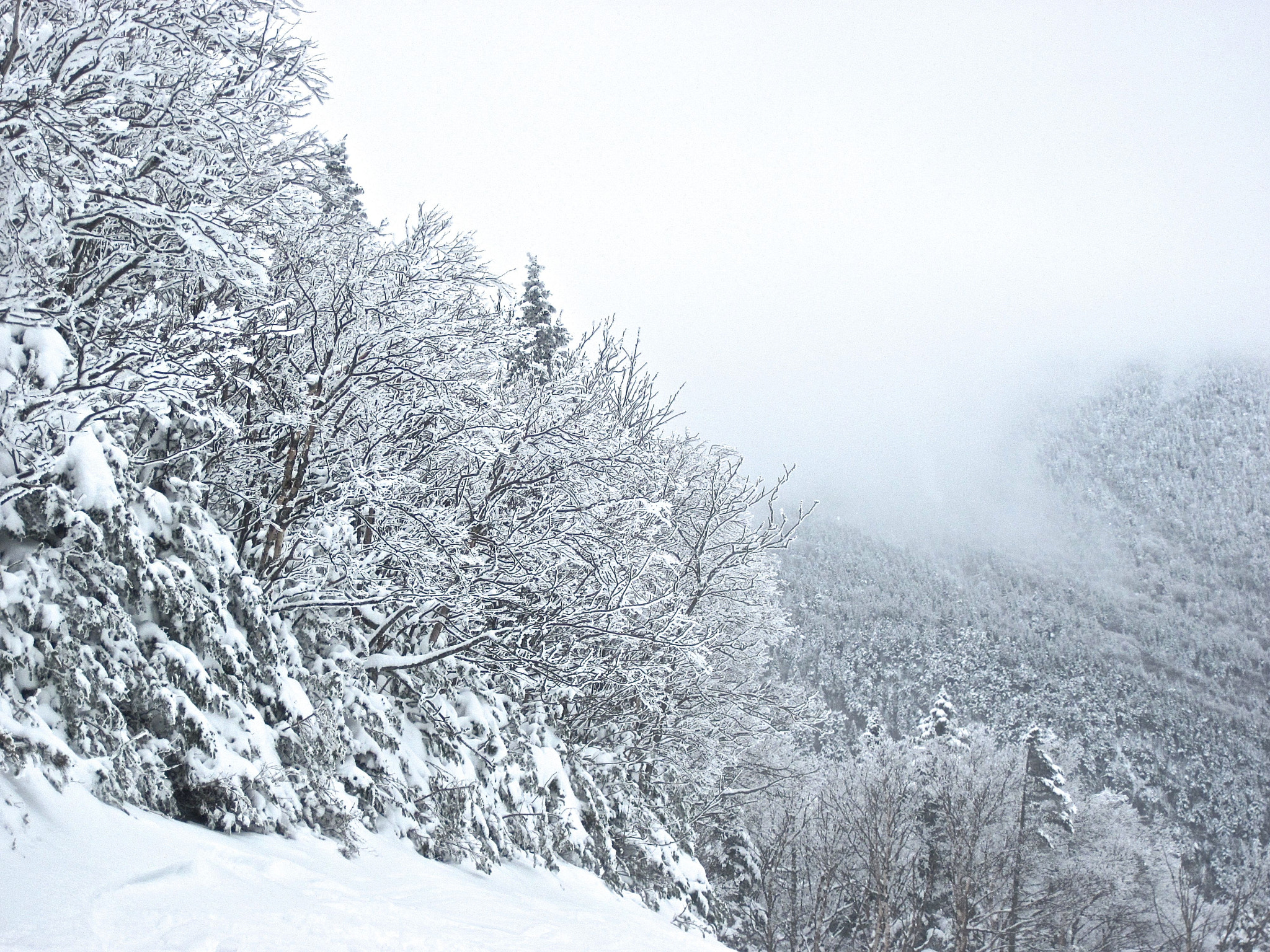 Canon PowerShot D10 sample photo. Sugarbush heavens gate mountain fog photography