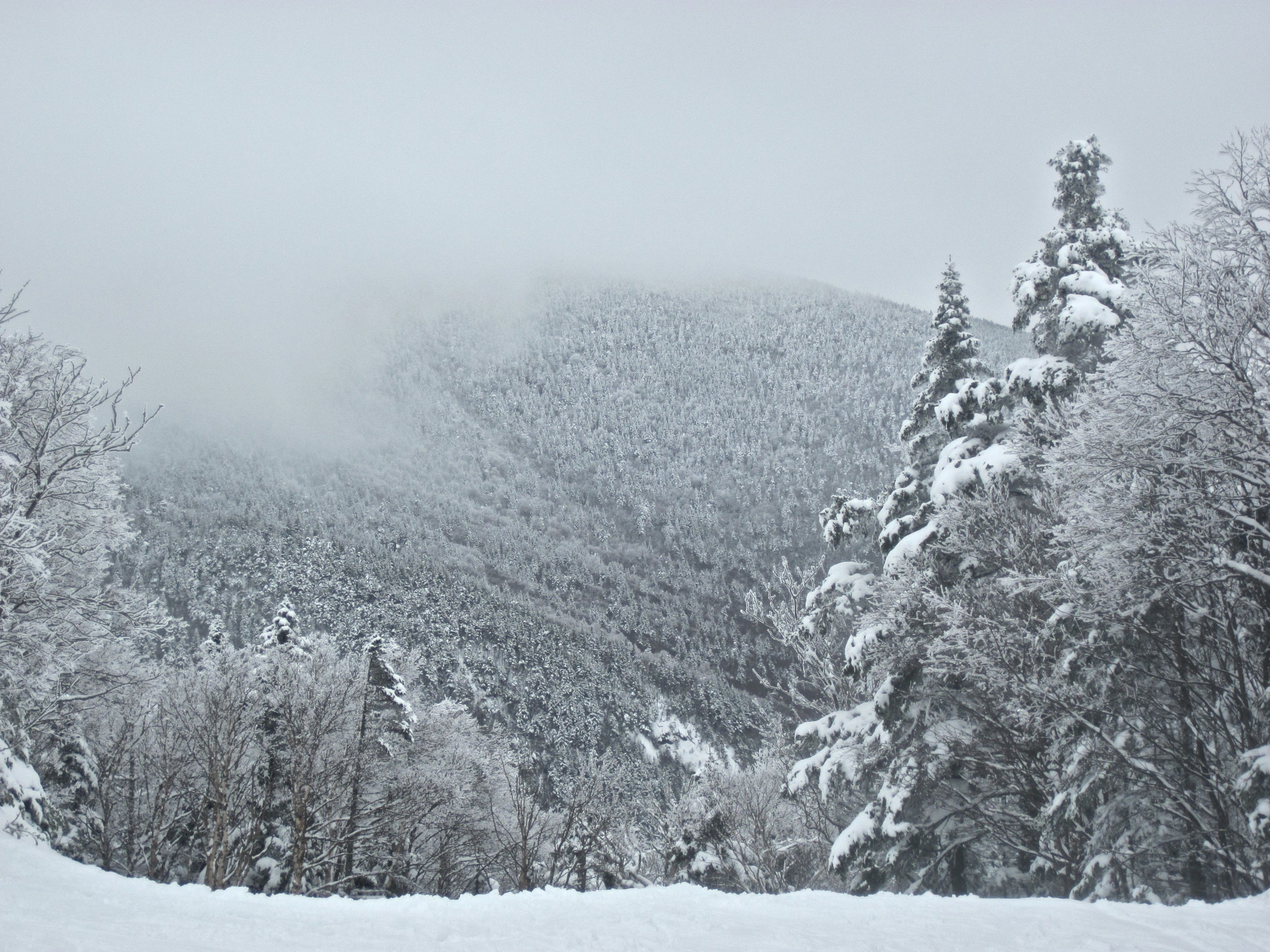 Canon PowerShot D10 sample photo. Sugarbush heavens gate mountain view white photography