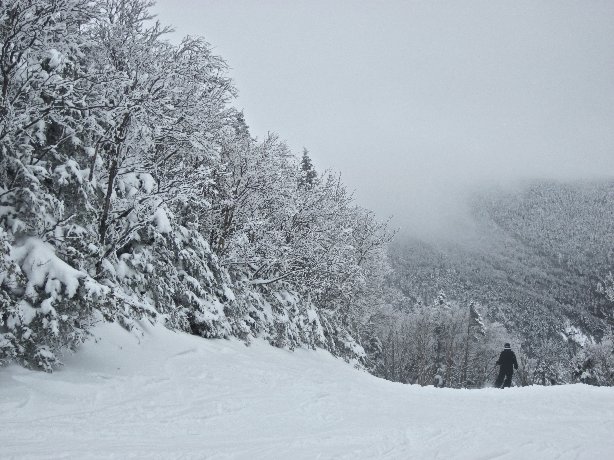 Canon PowerShot D10 sample photo. Sugarbush heavens gate skier photography