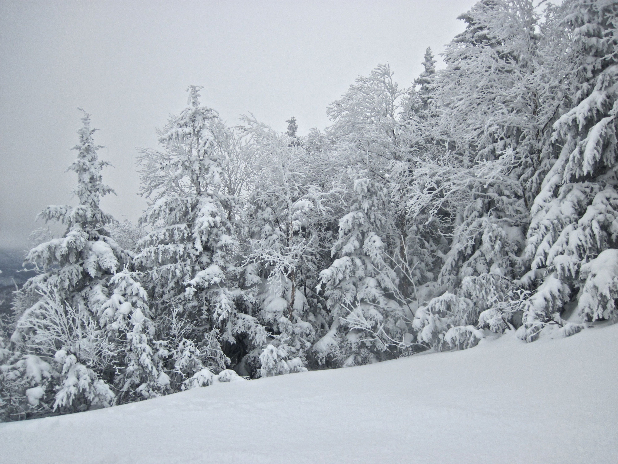 Canon PowerShot D10 sample photo. Sugarbush heavens gate snow trees photography