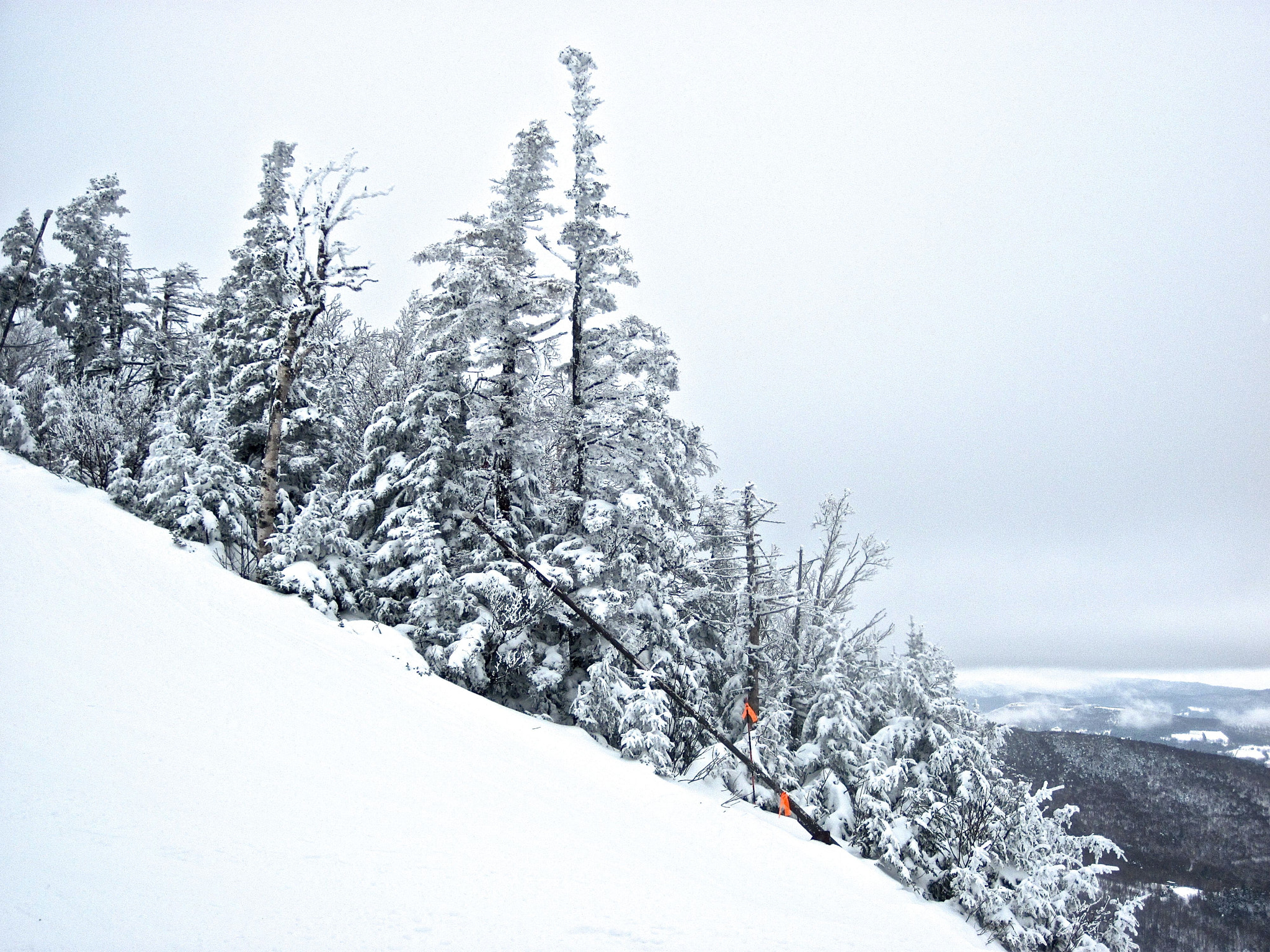 Canon PowerShot D10 sample photo. Sugarbush heavens gate trees diagonal photography
