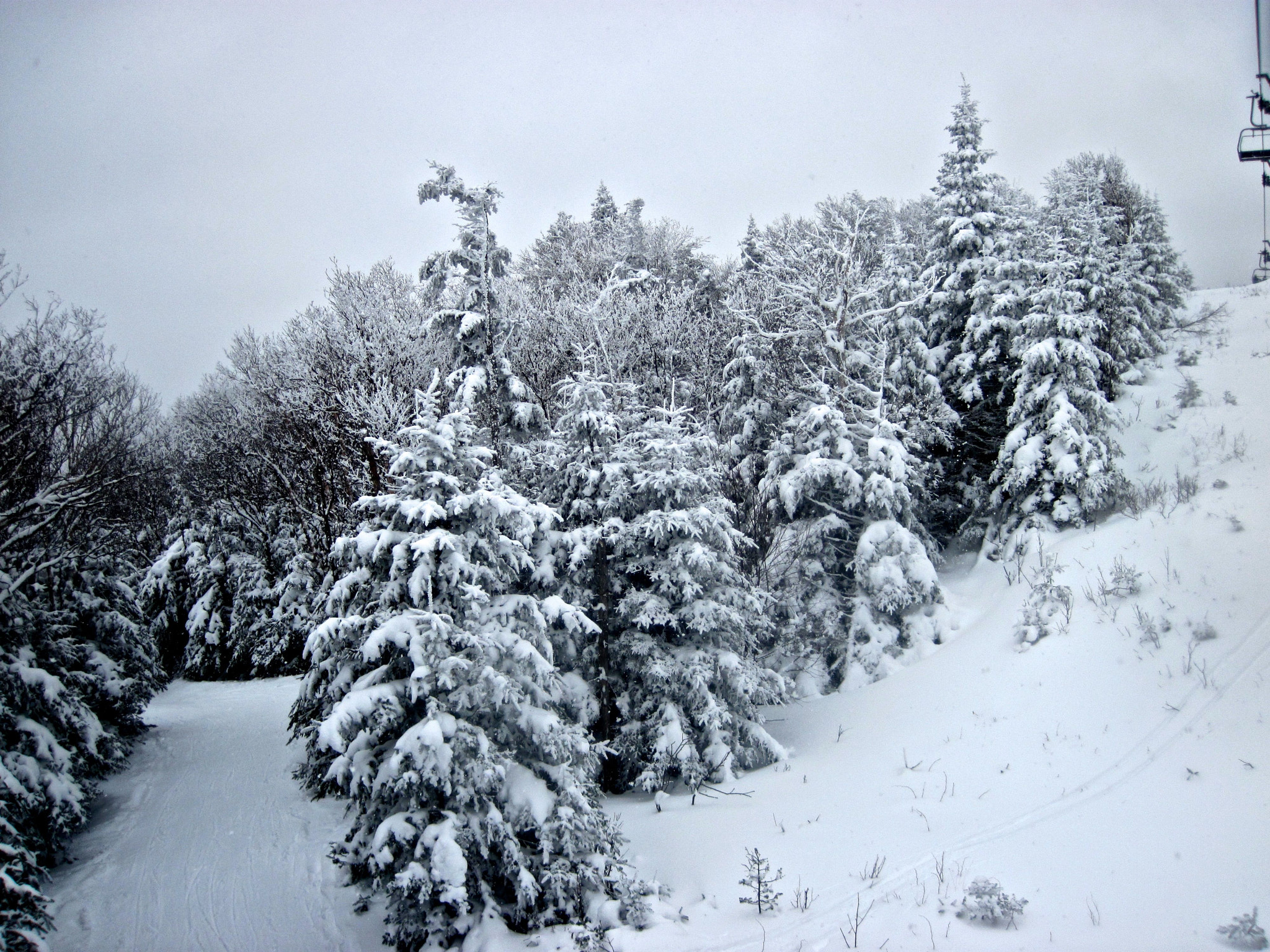 Canon PowerShot D10 sample photo. Sugarbush mount ellen lift snow trees photography