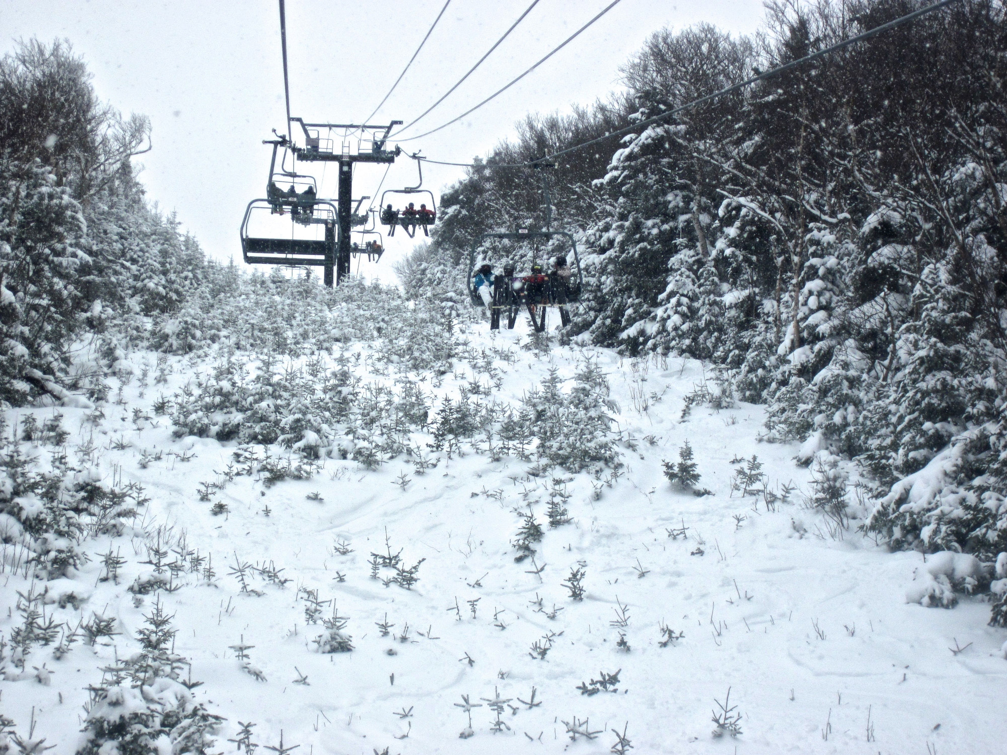 Canon PowerShot D10 sample photo. Sugarbush mount ellen lift trees on side photography