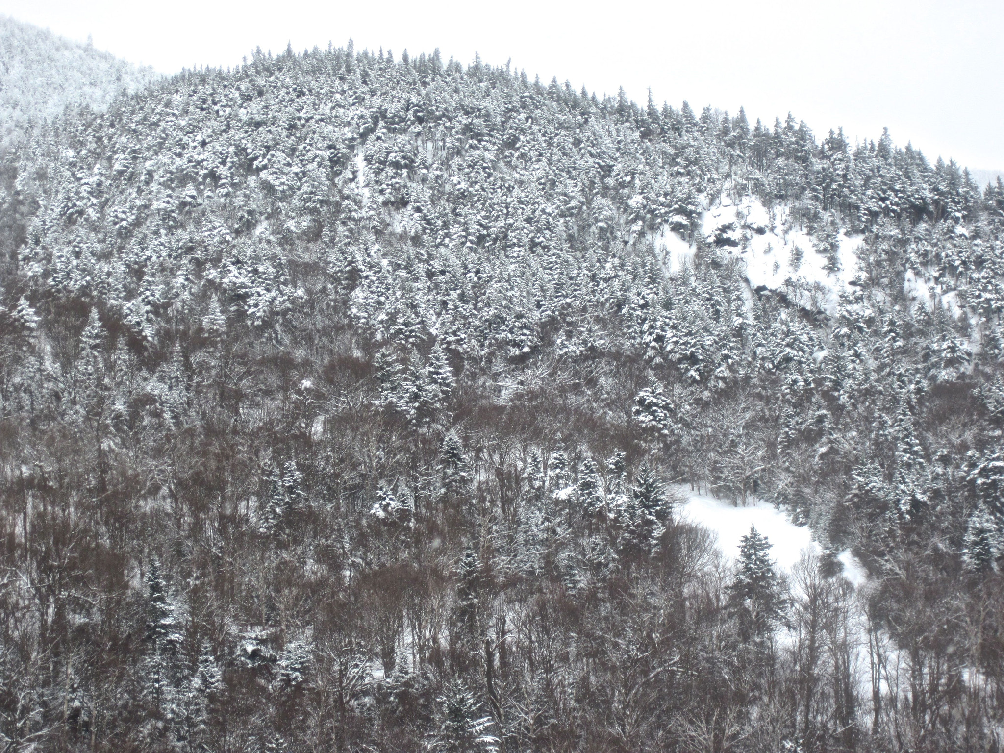 Canon PowerShot D10 sample photo. Sugarbush mountain curve photography