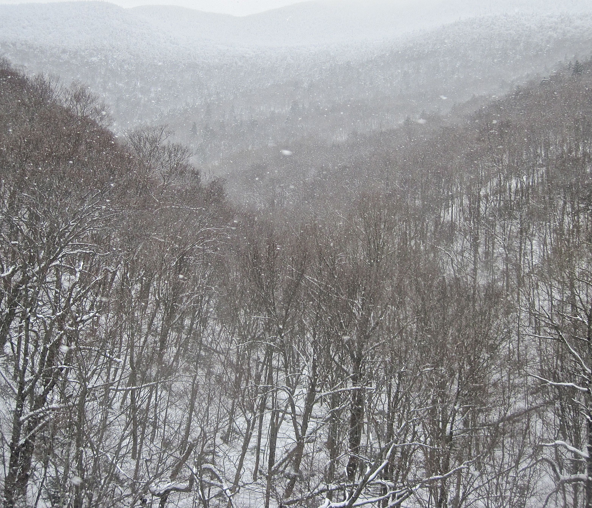 Canon PowerShot D10 sample photo. Sugarbush mountain view photography