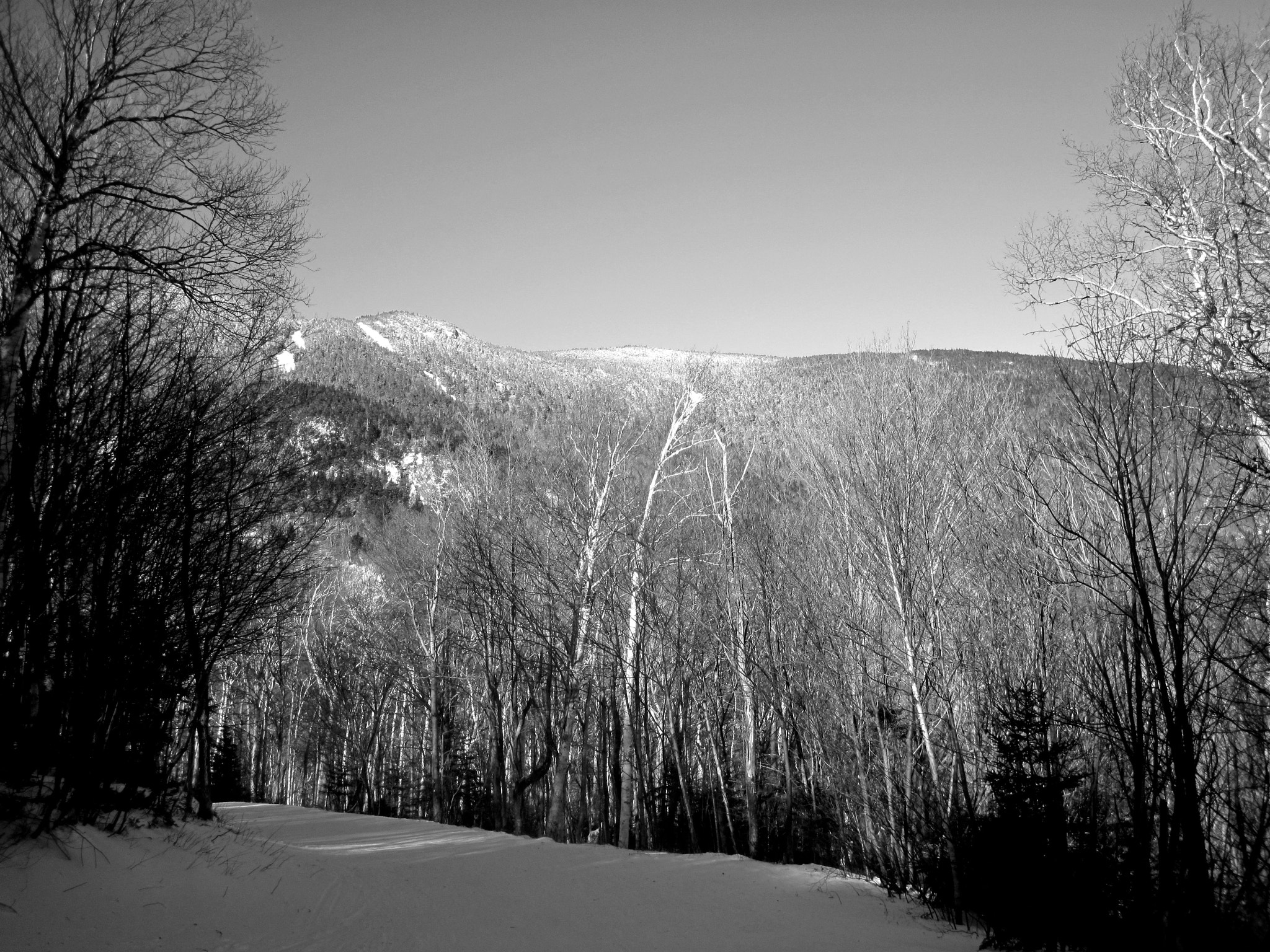 Canon PowerShot D10 sample photo. Sugarbush mountains heavens gate photography