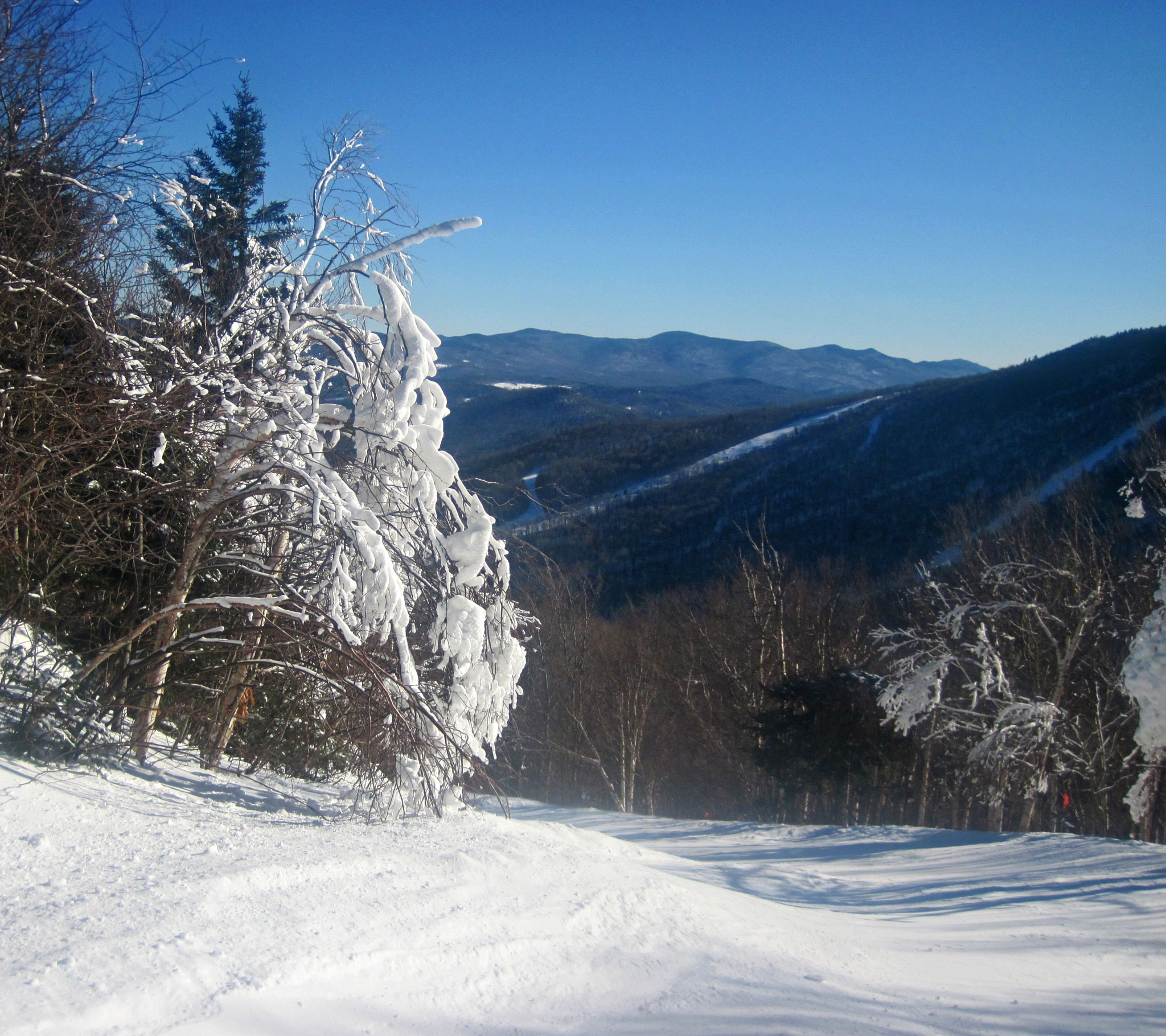 Canon PowerShot D10 sample photo. Sugarbush snow trees photography