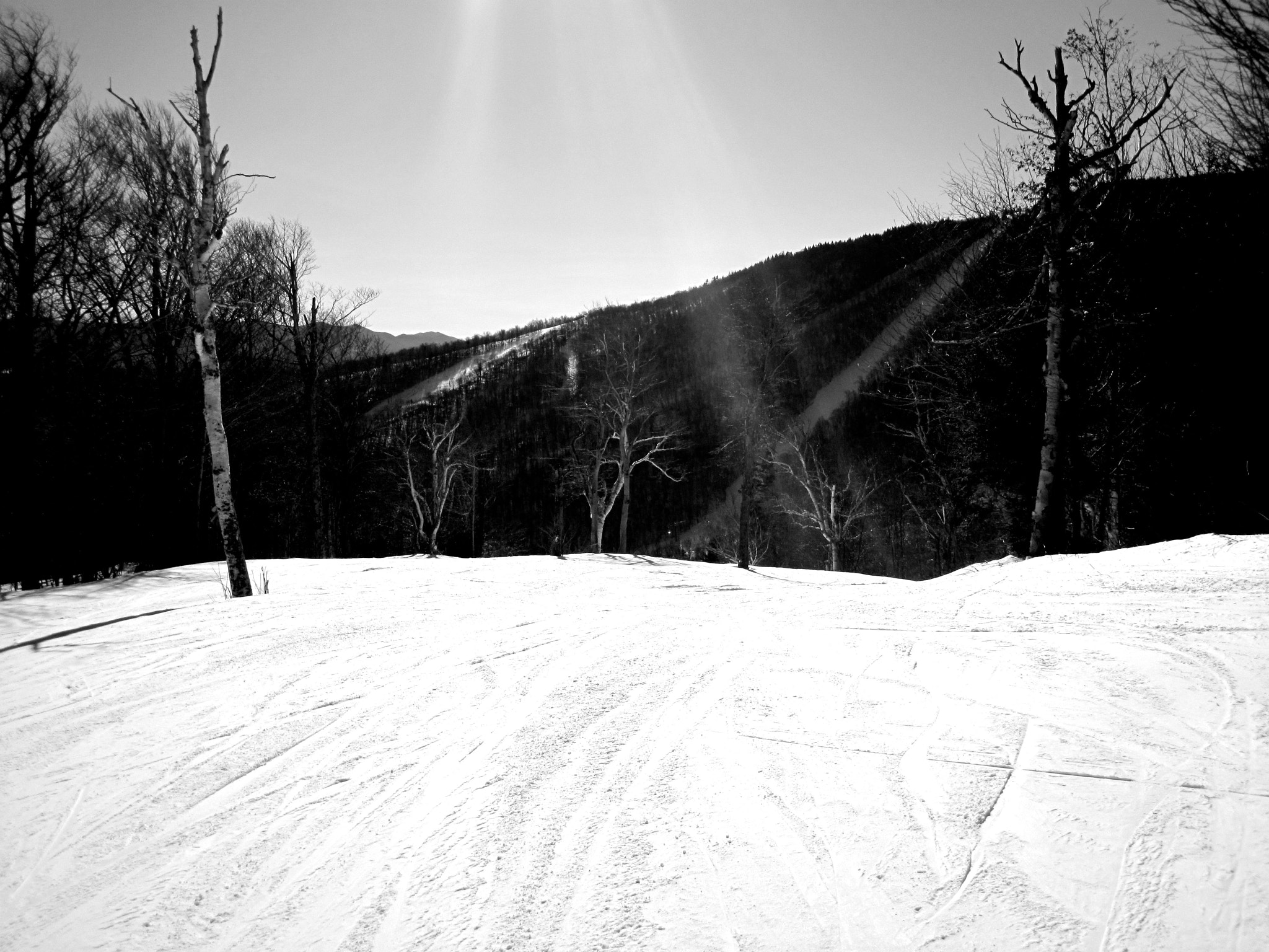 Canon PowerShot D10 sample photo. Sugarbush top mountain white black photography