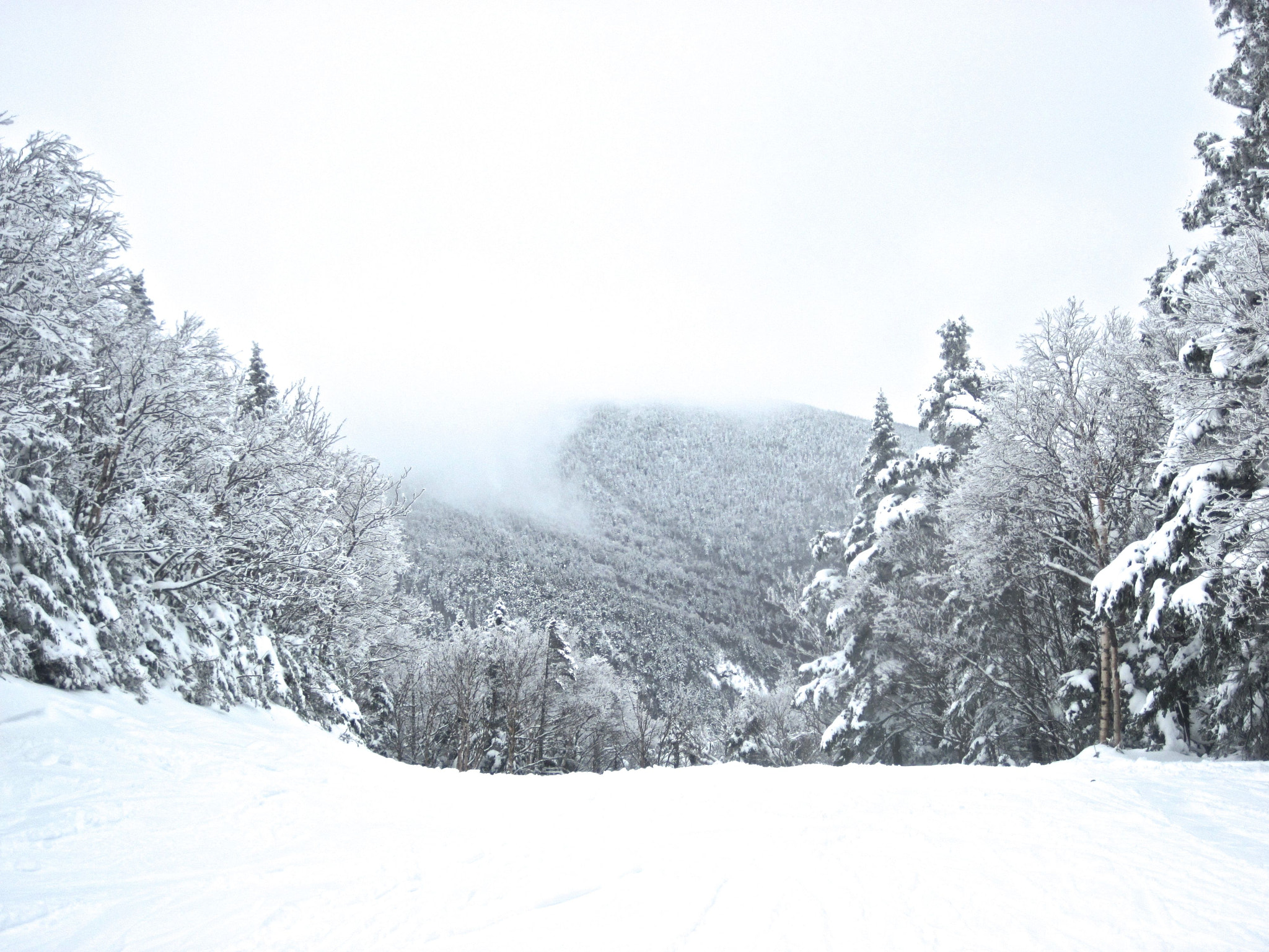 Canon PowerShot D10 sample photo. Sugarbush trees view heavens gate mountain background photography