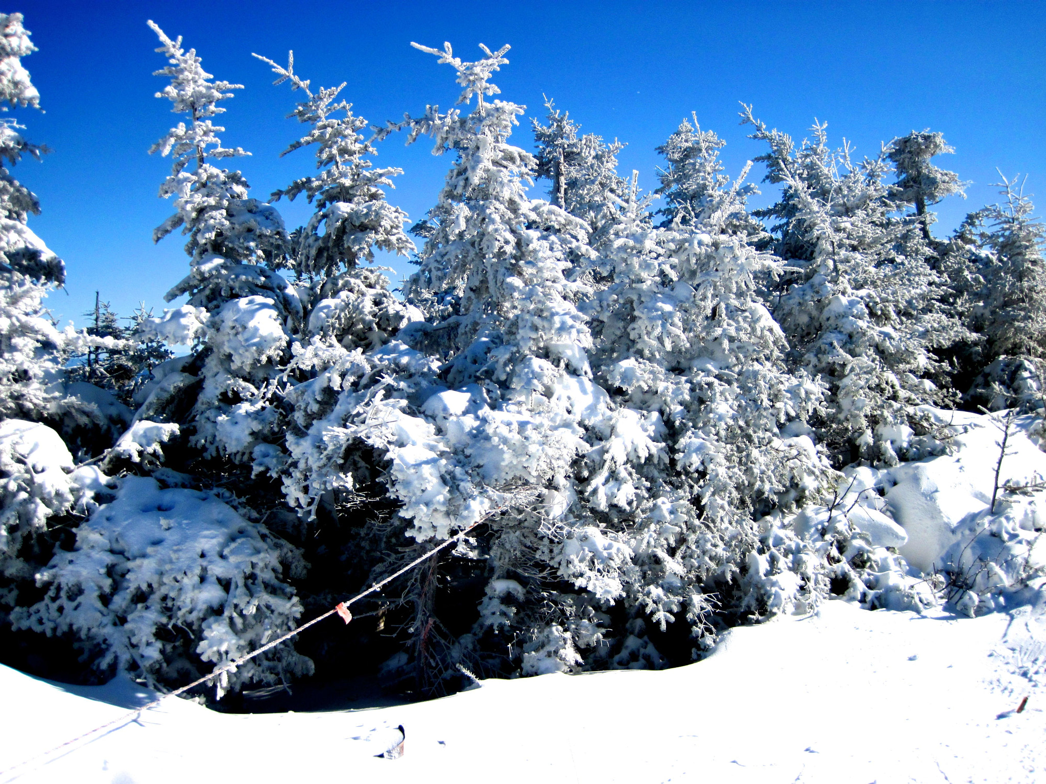 Canon PowerShot D10 sample photo. Sugarbush upper mountain snow trees photography