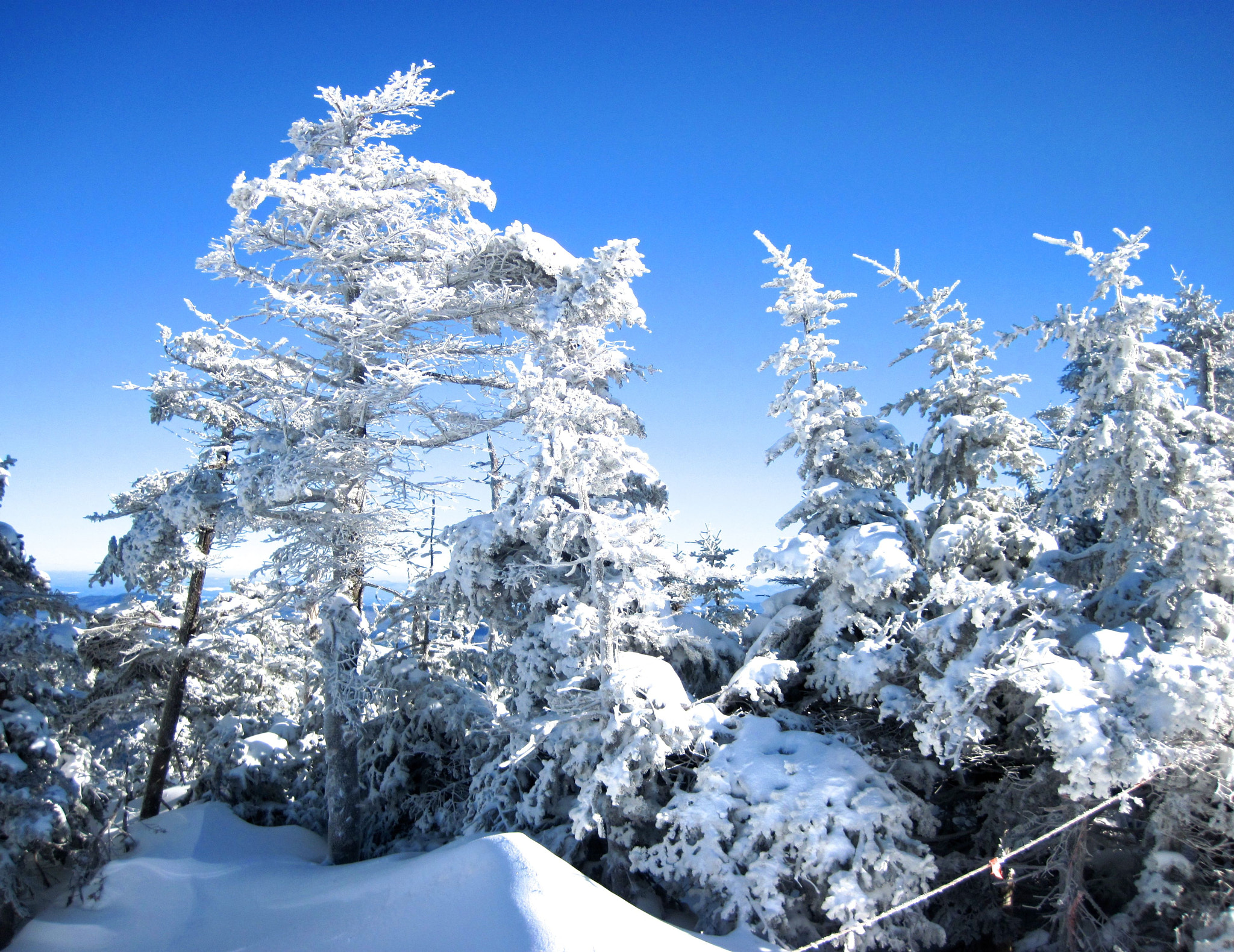 Canon PowerShot D10 sample photo. Sugarbush upper mountain white snow trees photography