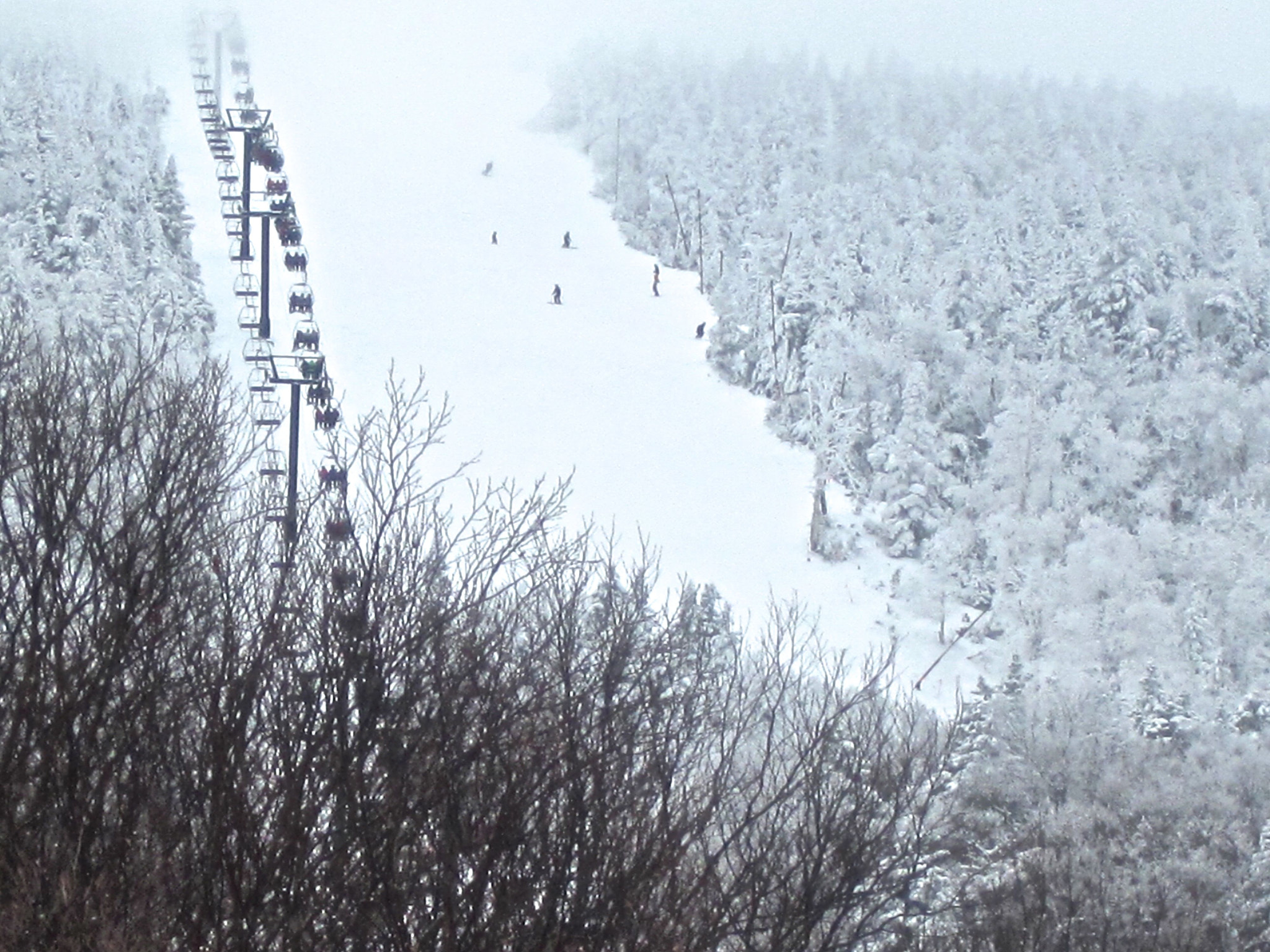 Canon PowerShot D10 sample photo. Sugarbush white trees lifts photography